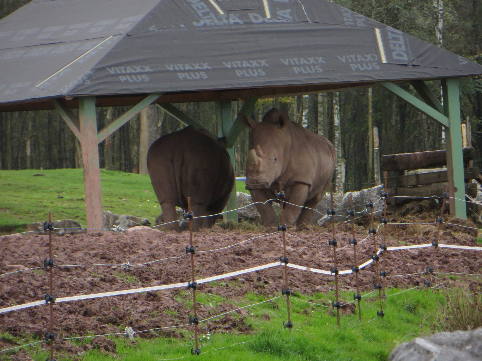 Monde Sauvage Safari Parc
