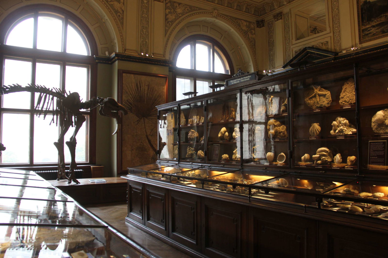 Naturhistorisches Museum