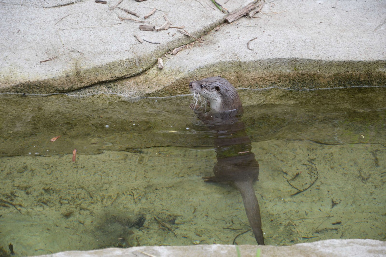 Parc zoologique de Paris