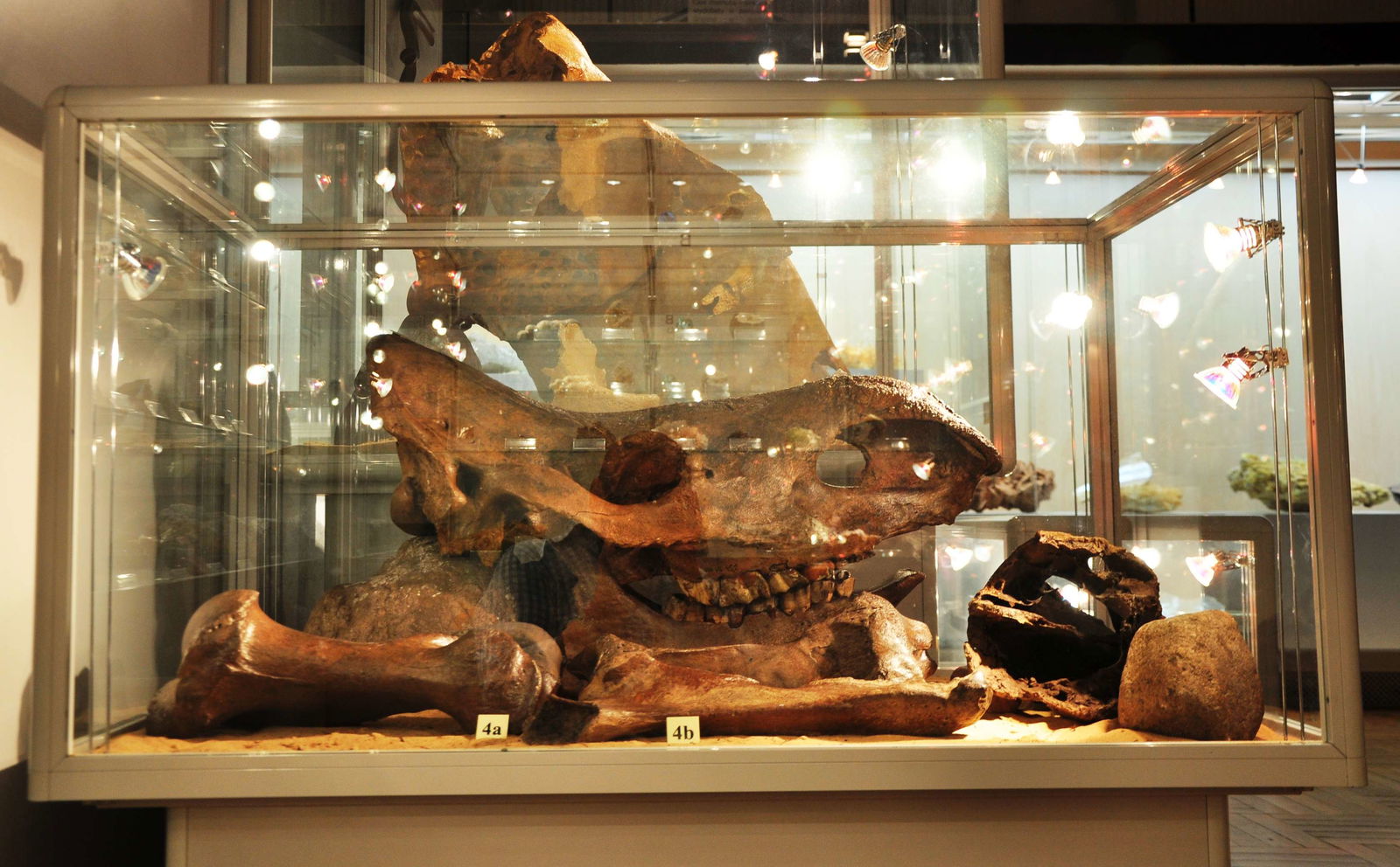 Earth Museum - Polish Academy of Sciences