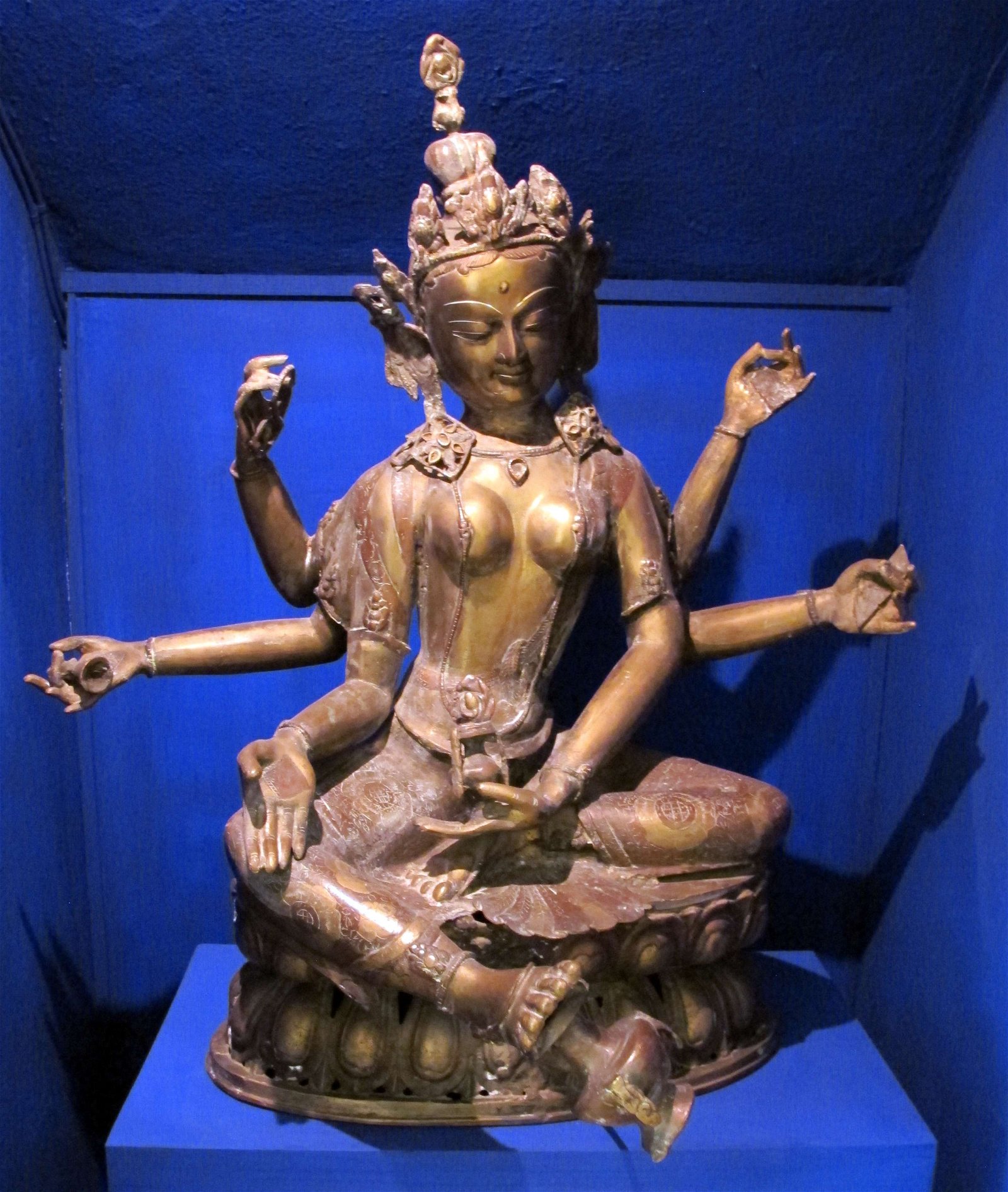 Museum of Anthropology and Ethnology