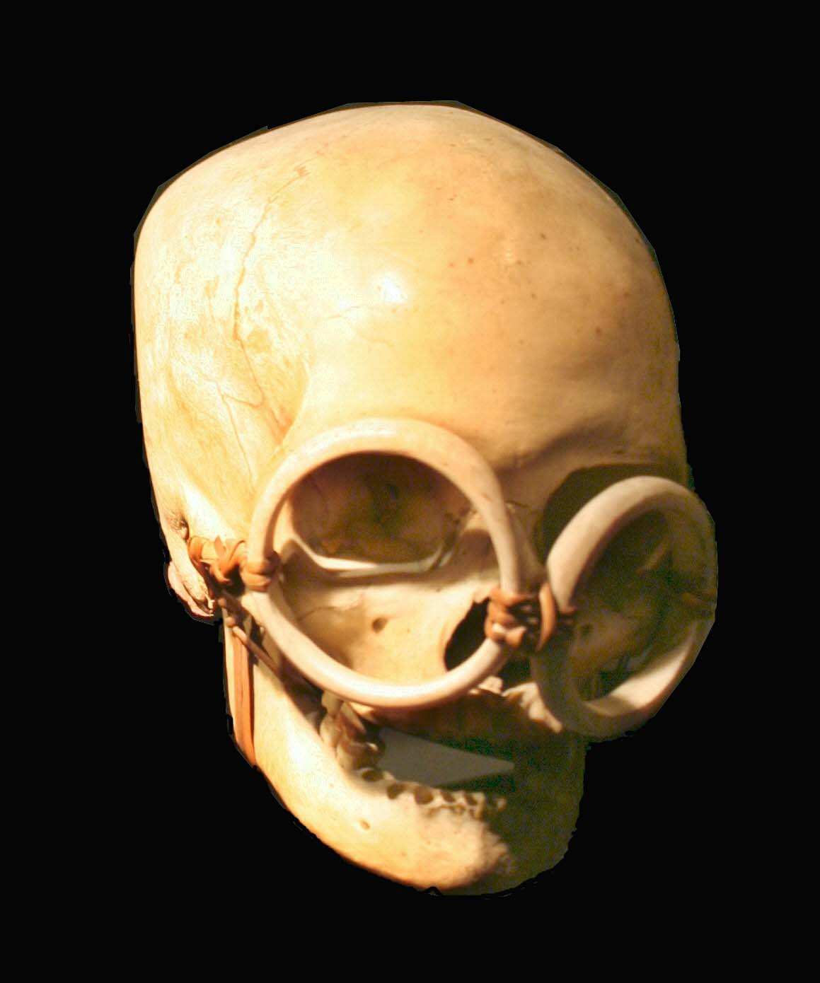 Musée des arts africains, océaniens et amérindiens