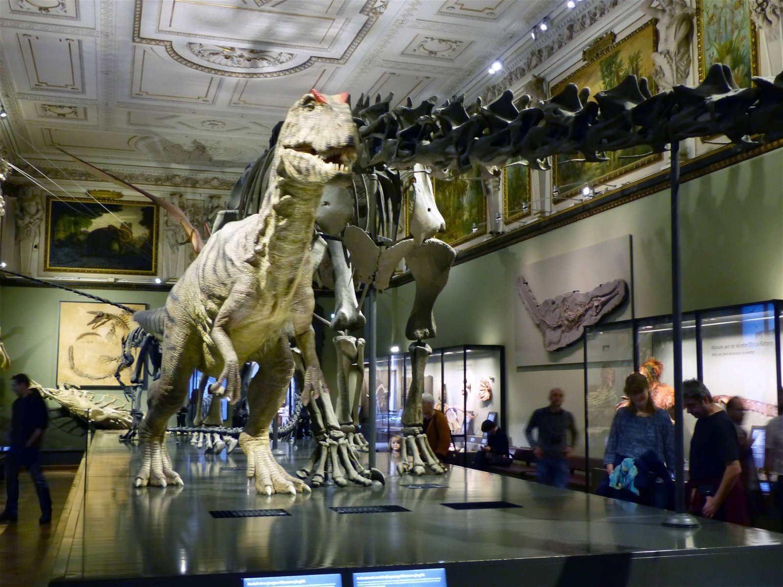 Natural History Museum