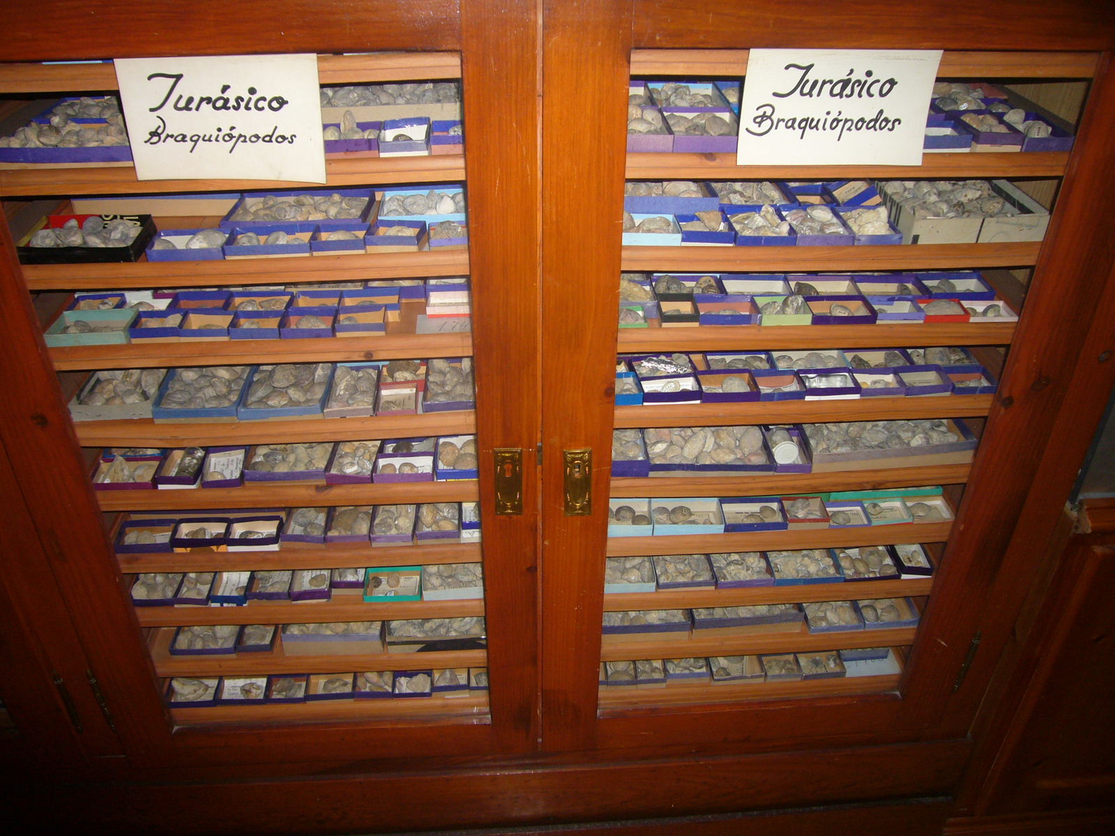 Museu Geologic del Seminari de Barcelona