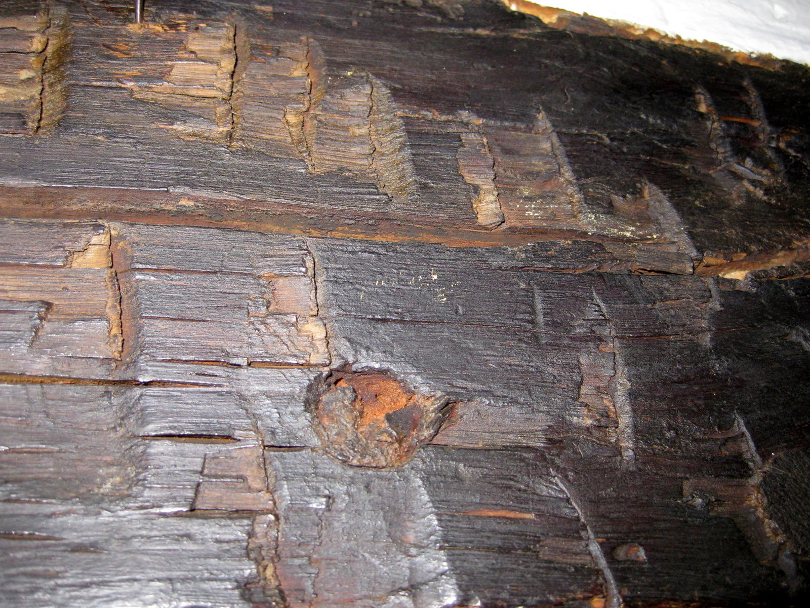 Guildhall de Leicester