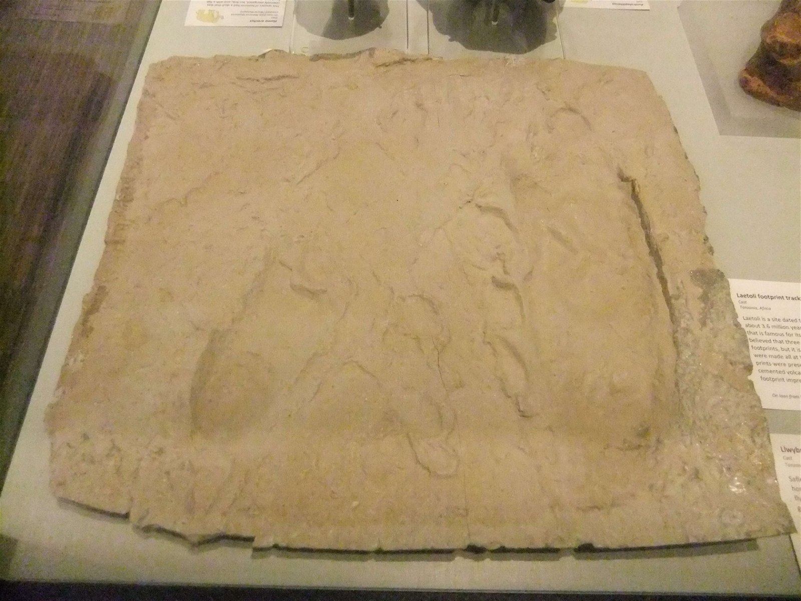 Wrexham County Borough Museum and Archives