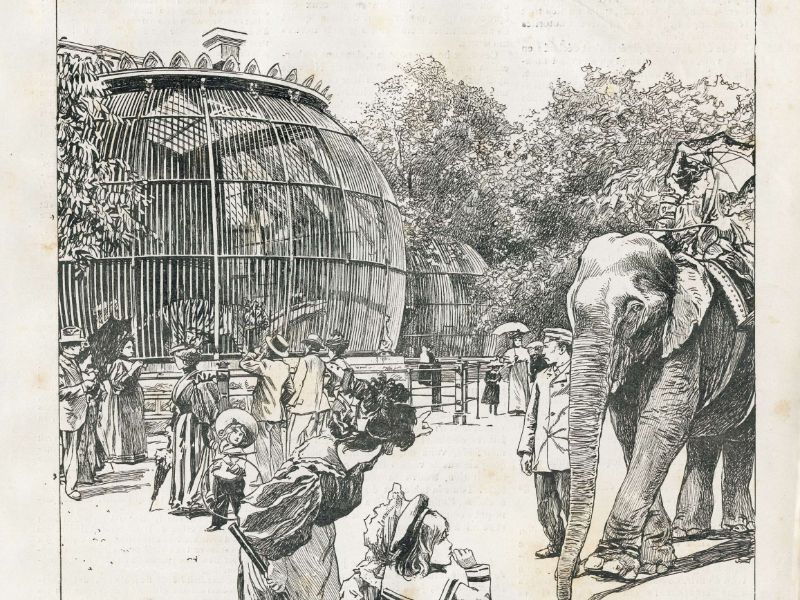 Antwerp Zoo