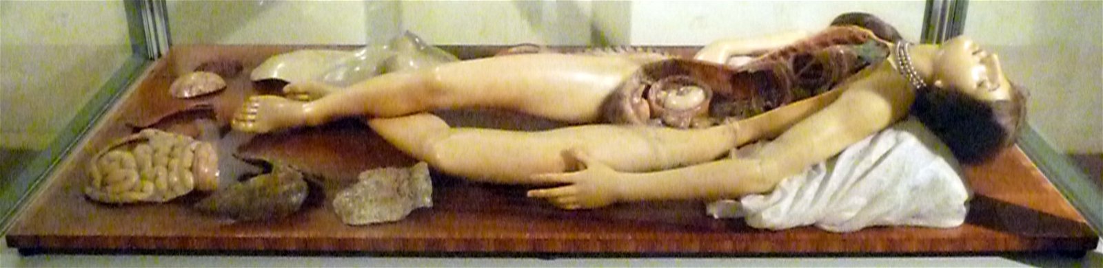 Museo di Palazzo Poggi