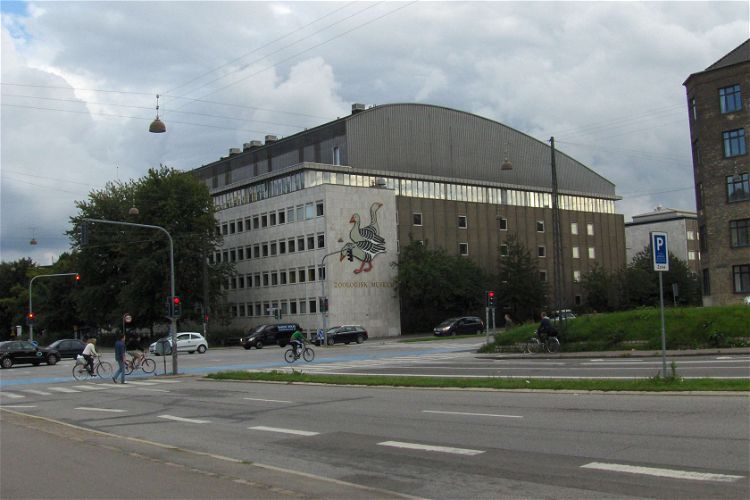 Zoologisk Museum