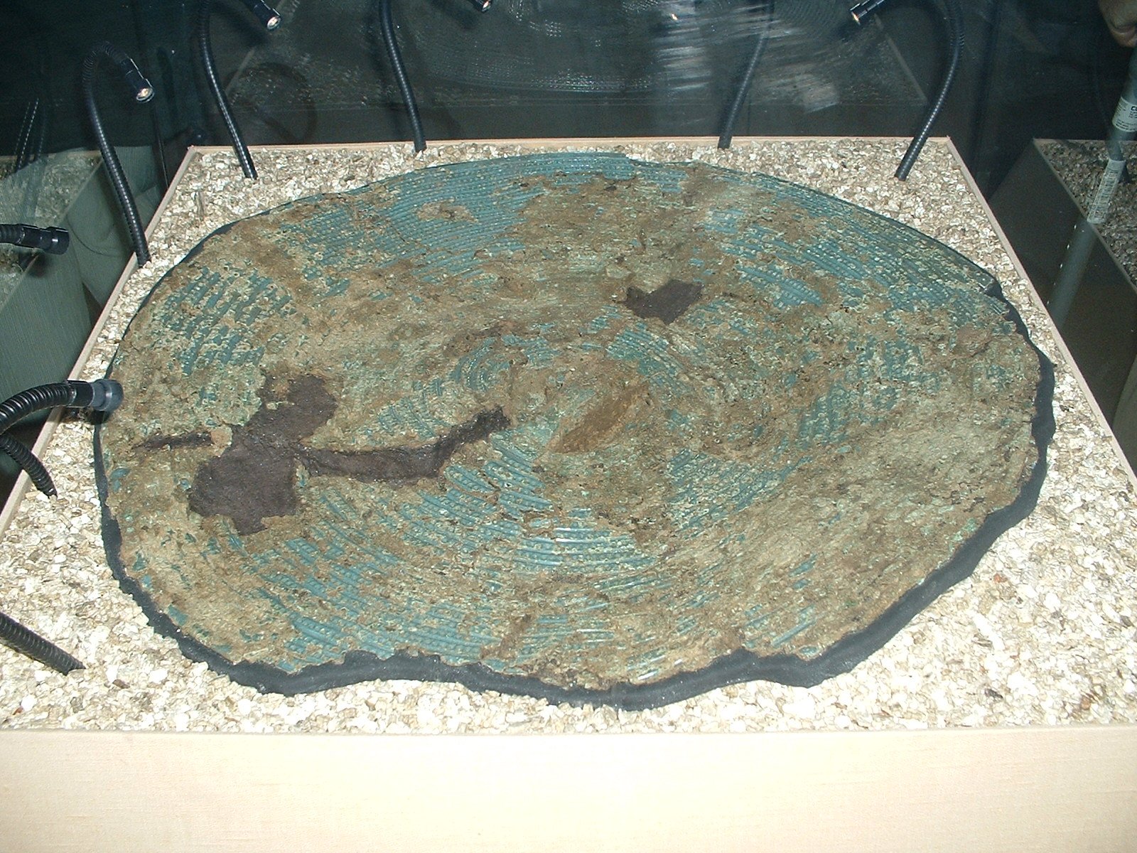 The Museum of Somerset