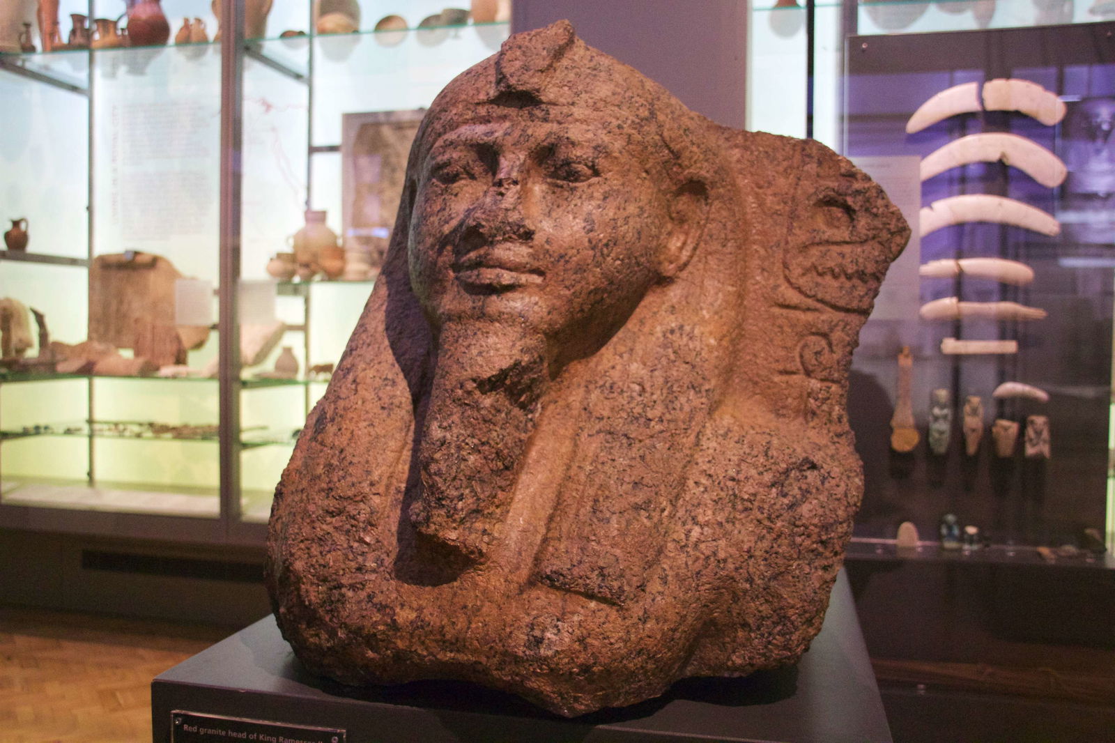 Museo de Mánchester