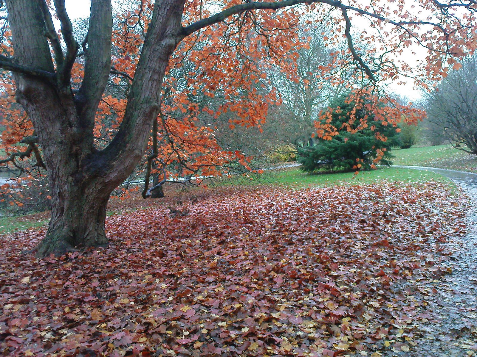 Aarhus Botanical Gardens