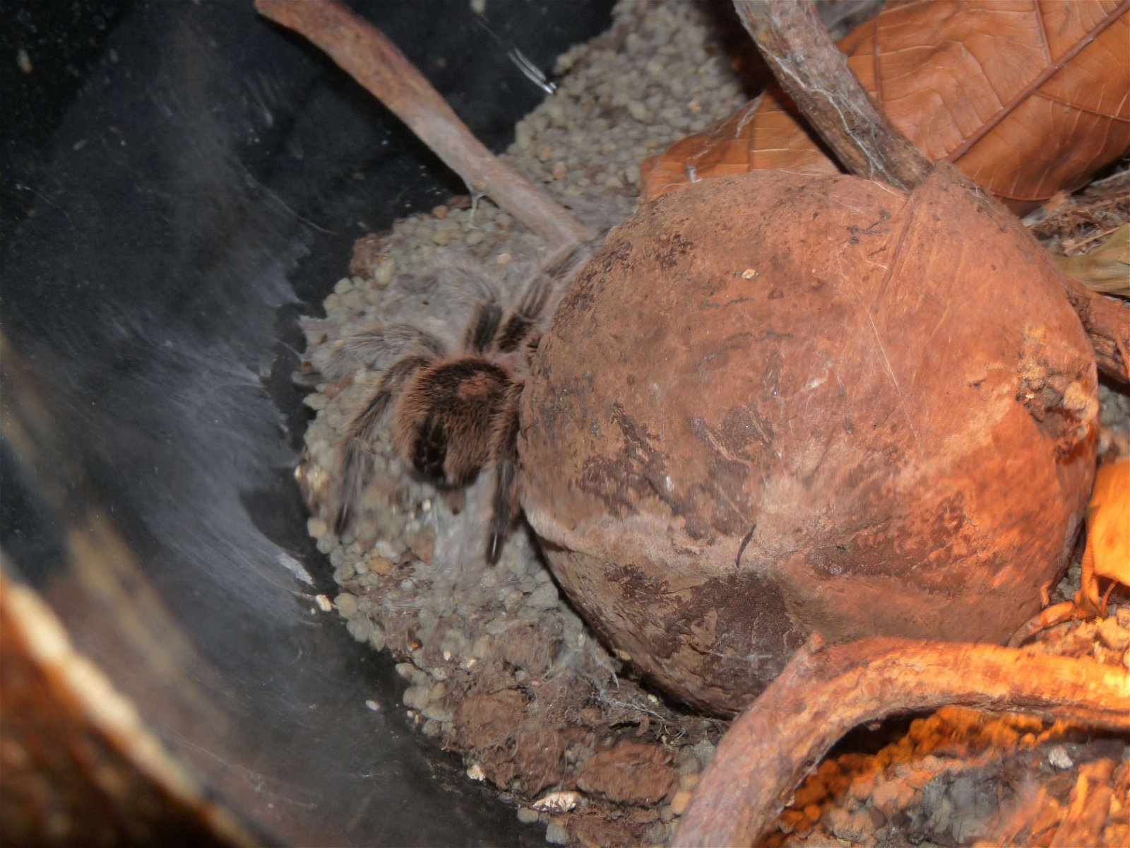 Aquaria Water Museum