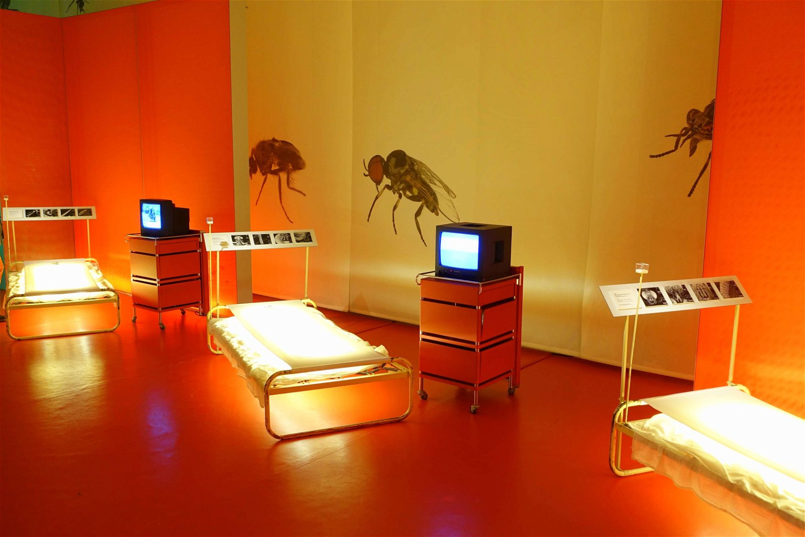 Natural History Museum Berlin