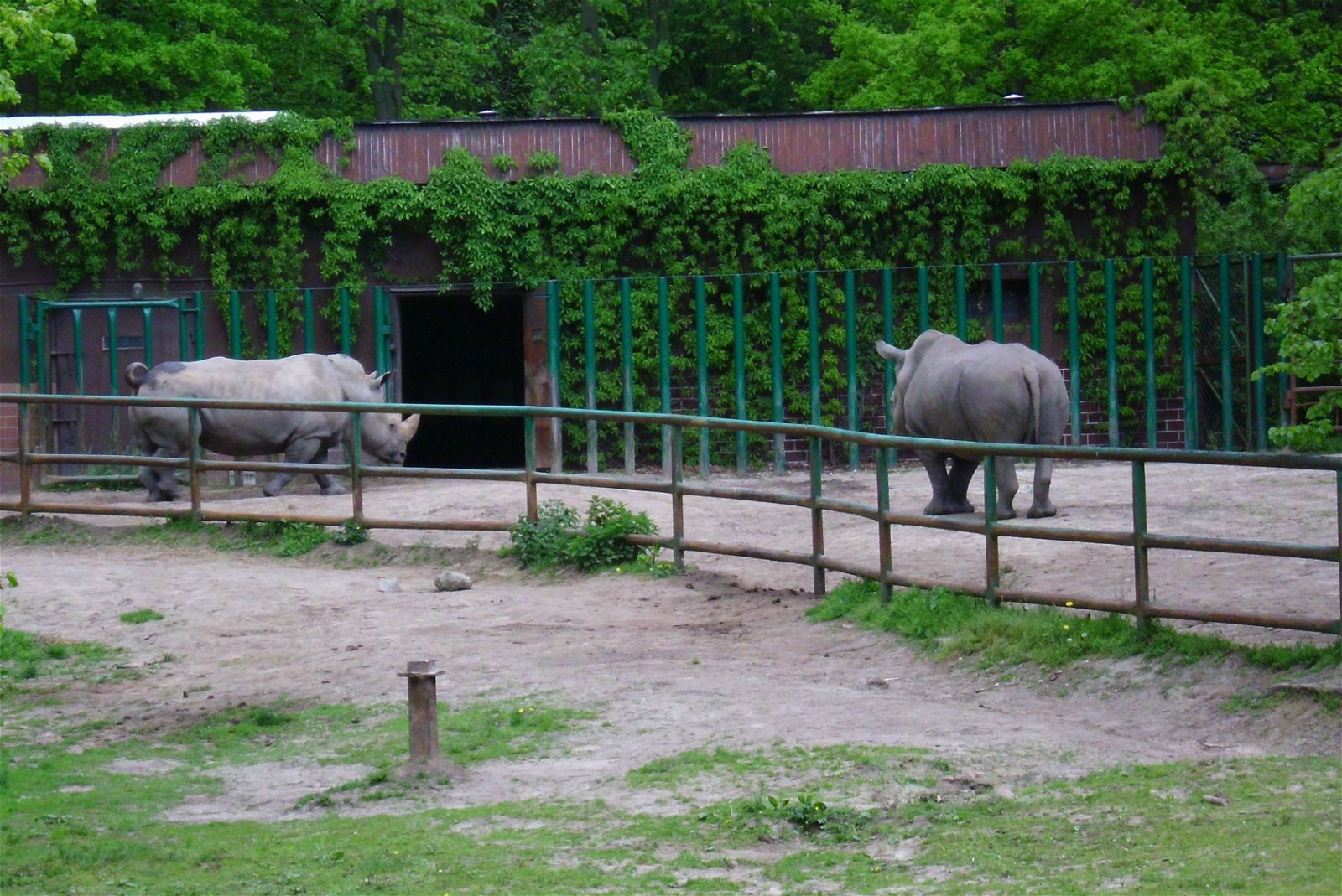 Zoo Poznań