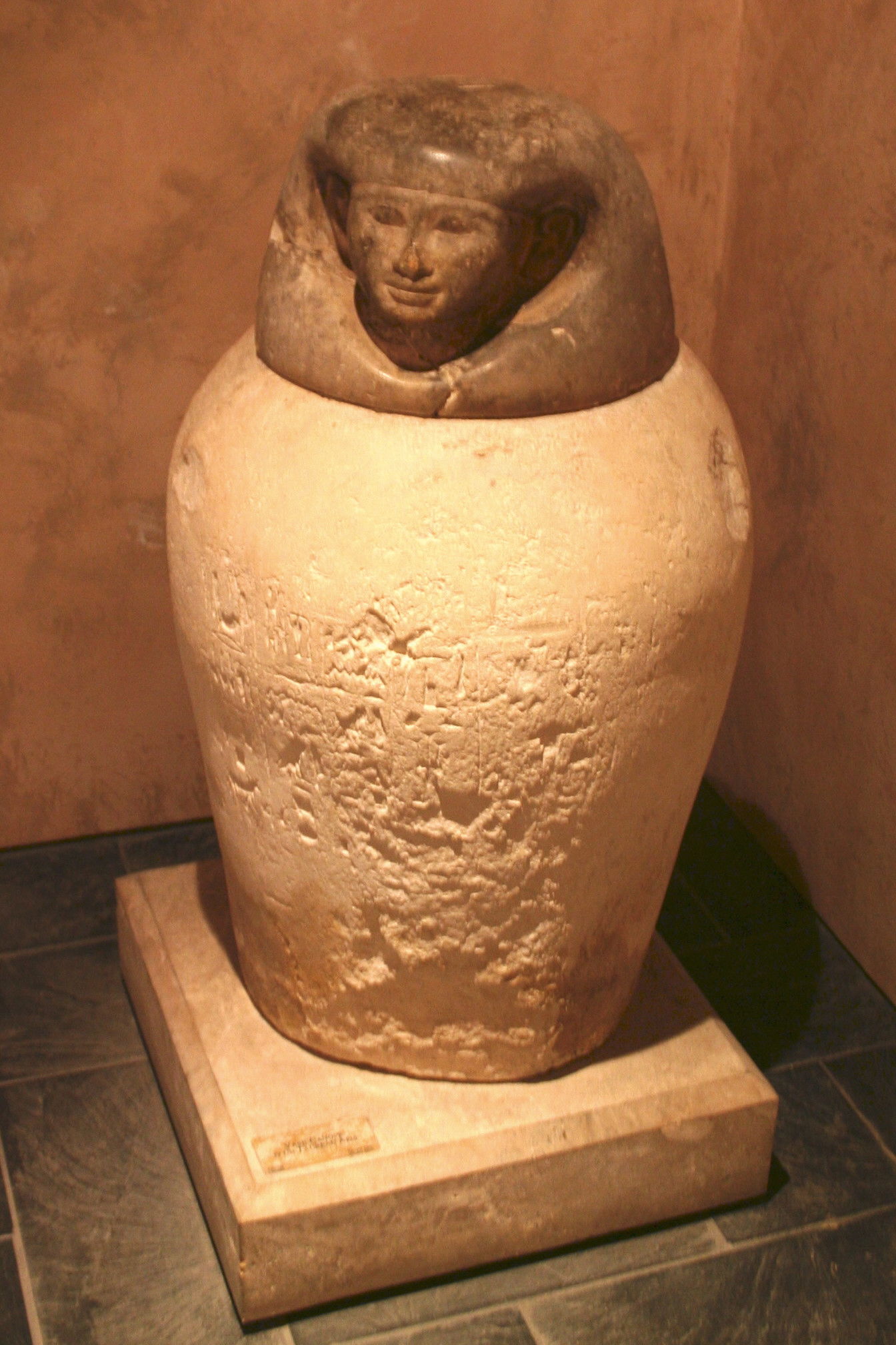 Musée d'archéologie méditerranéenne