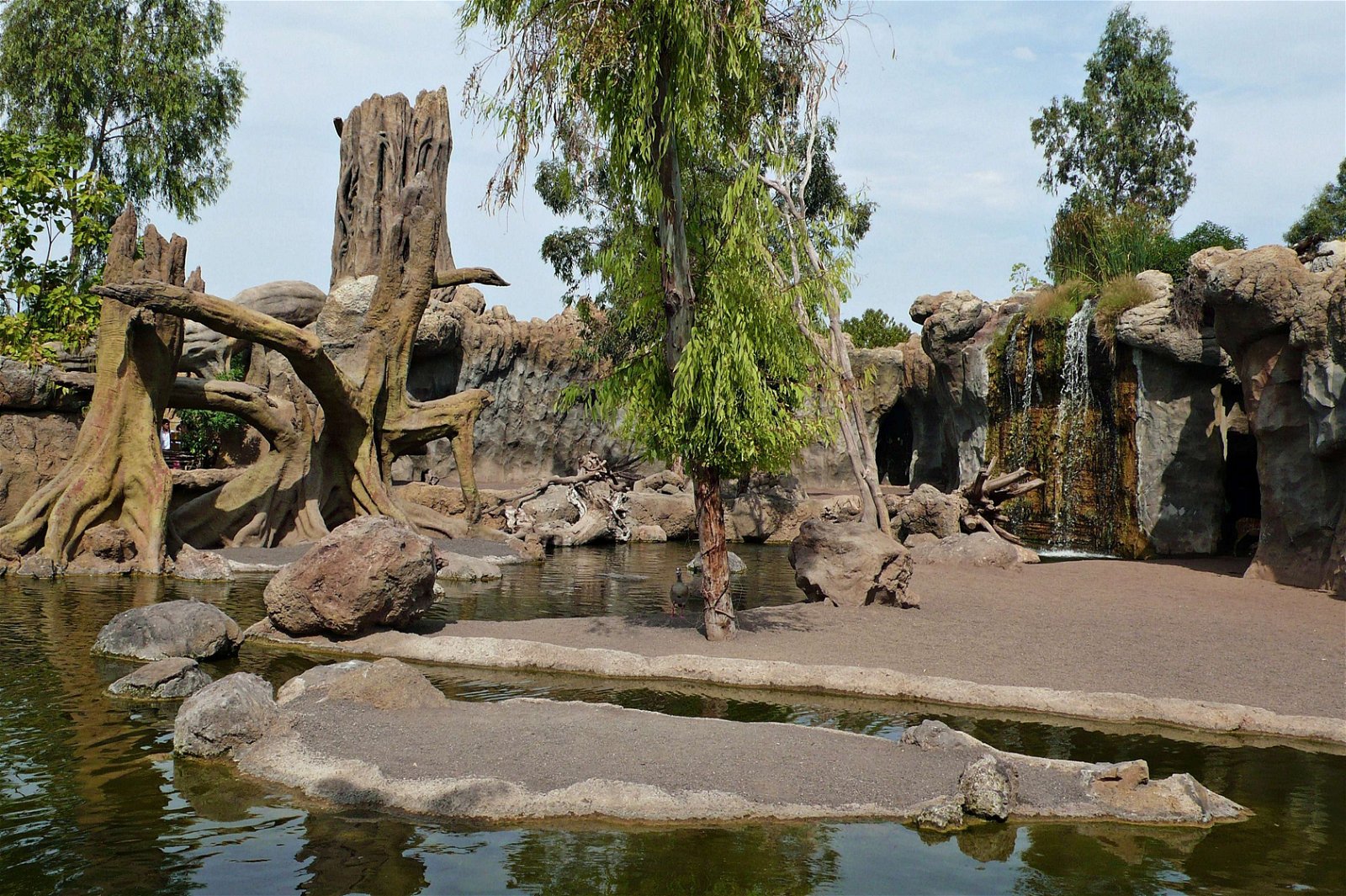 Bioparc Valencia