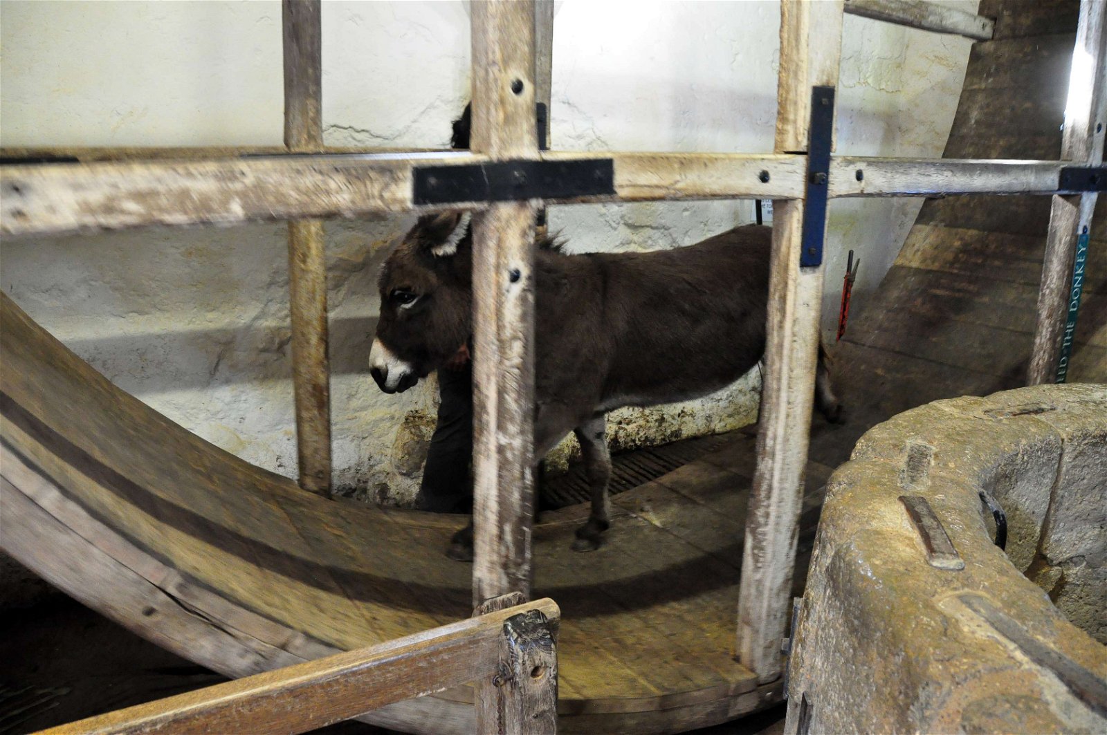Carisbrooke Castle Museum