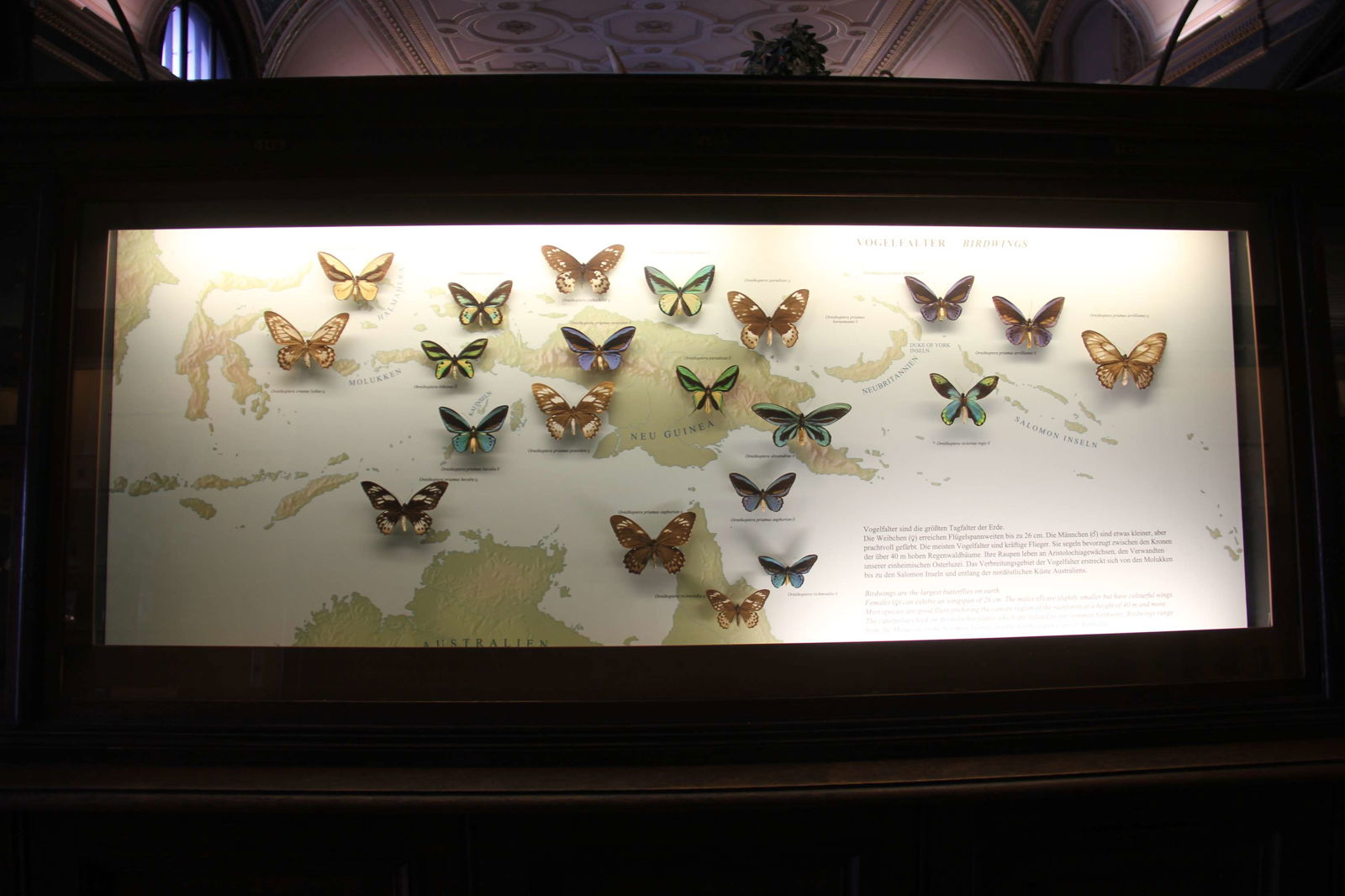 Naturhistorisches Museum