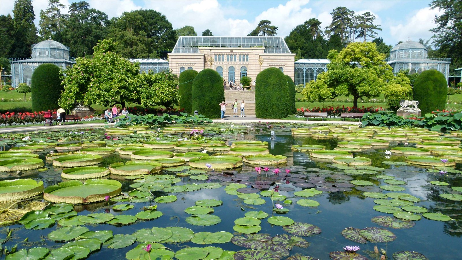 Wilhelma Zoo and Botanical Garden (Stuttgart) - Visitor