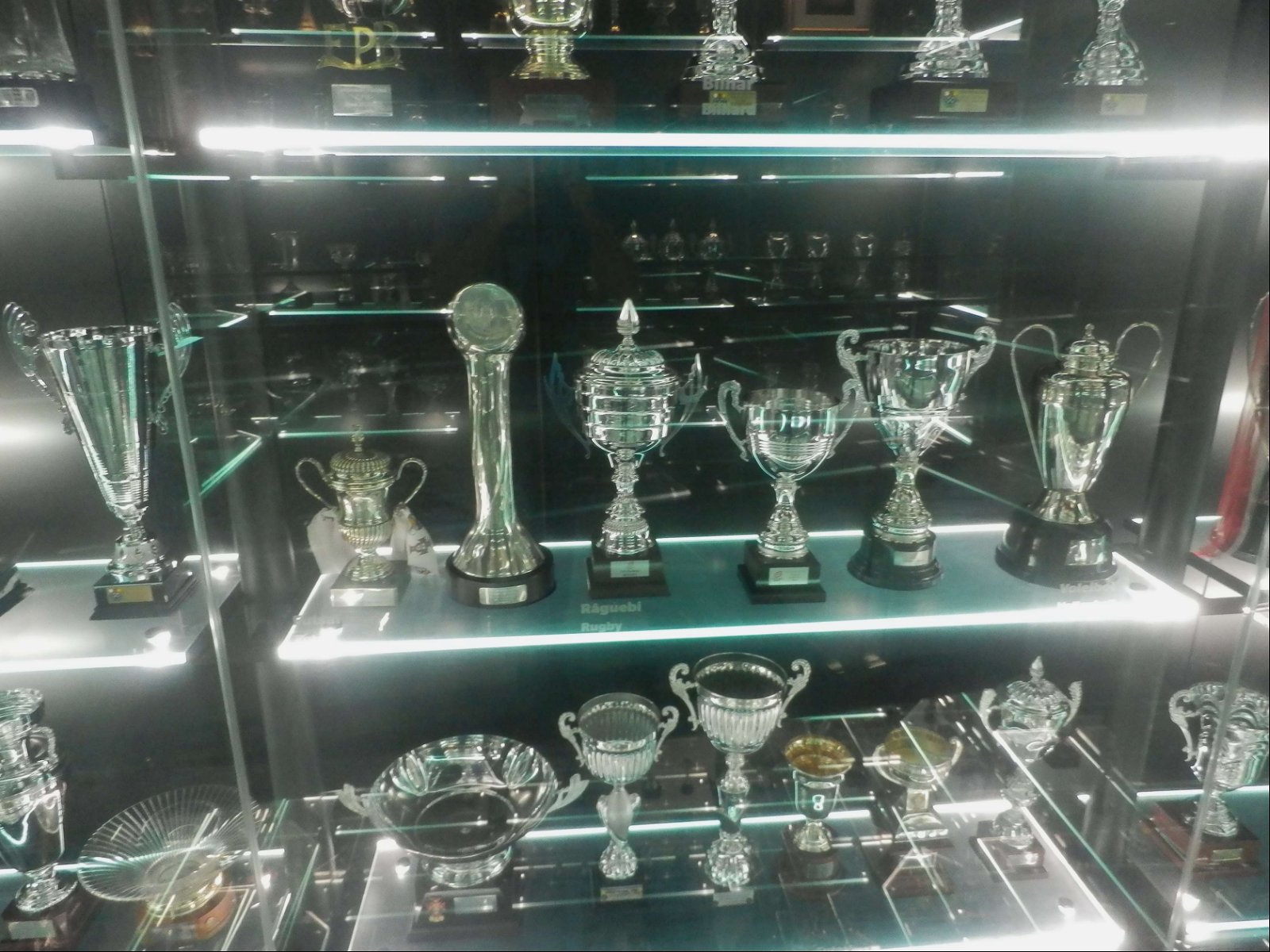 Museu Benfica - Cosme Damião