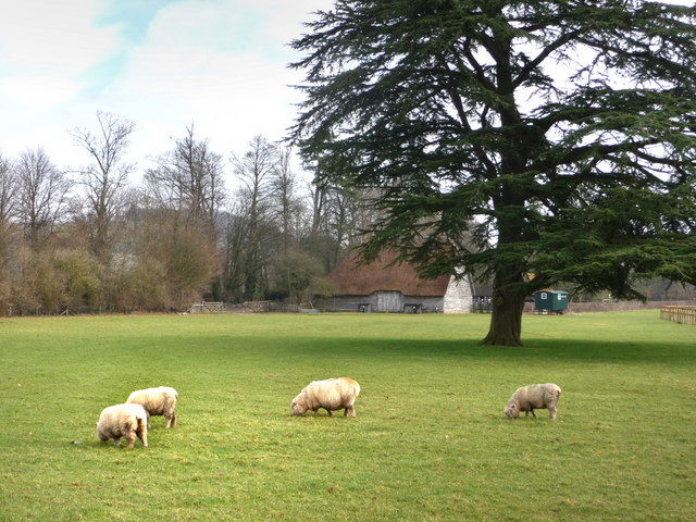 Weald and Downland Living Museum