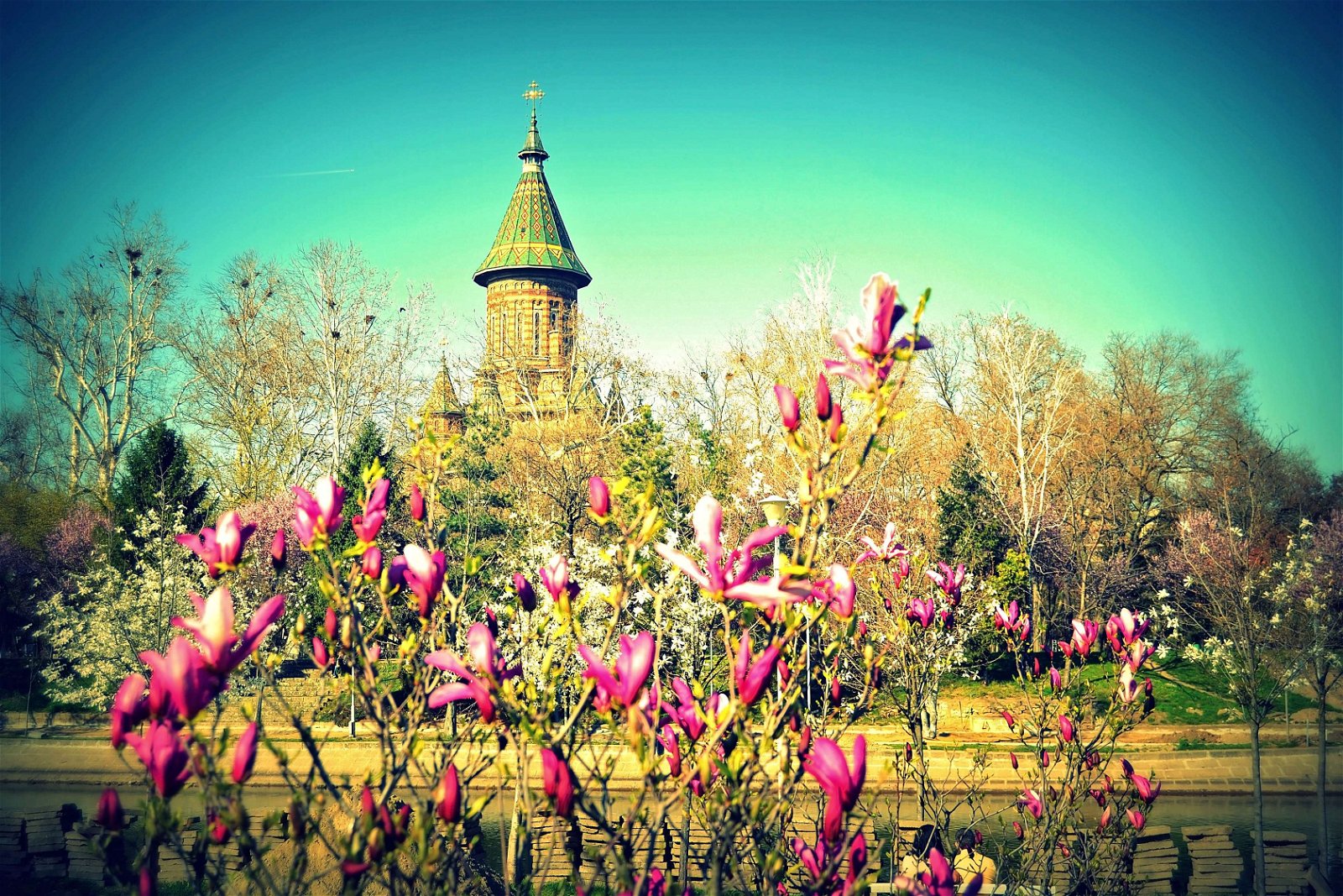 Timișoara Orthodox Cathedral
