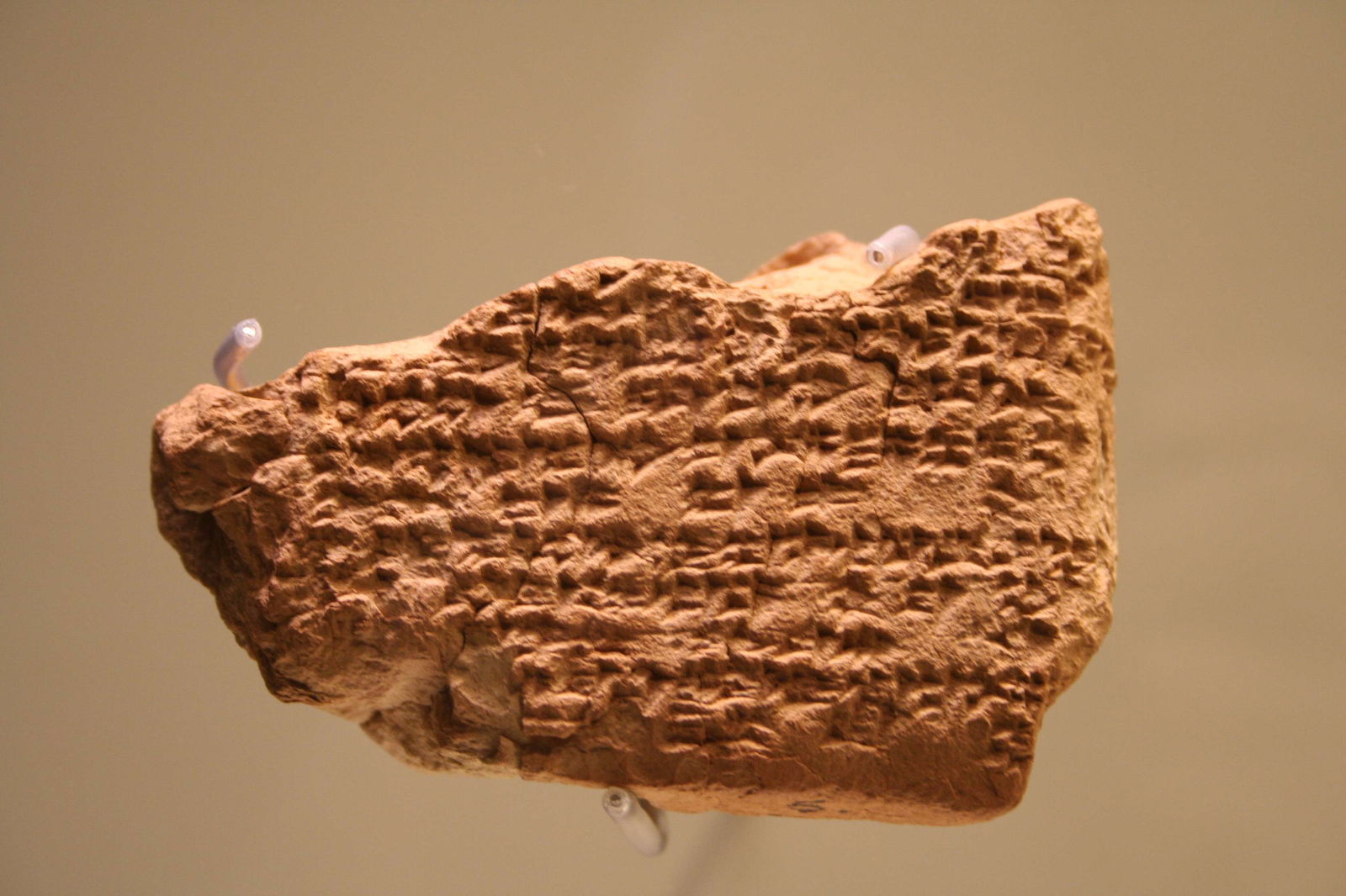 Ägyptisches Museum der Universität Leipzig