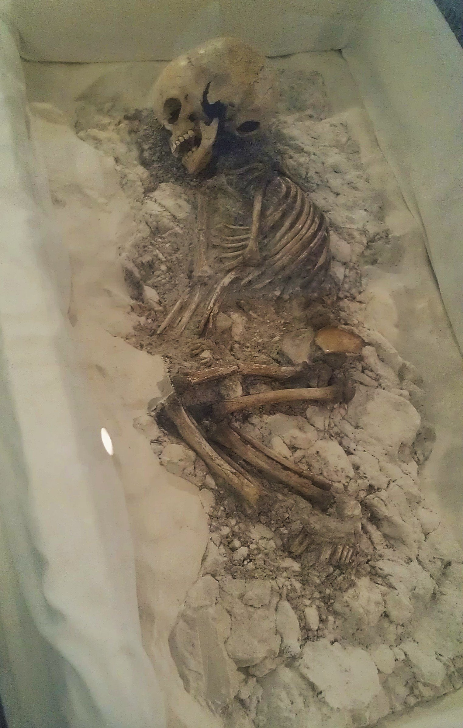 Alexander Keiller Museum