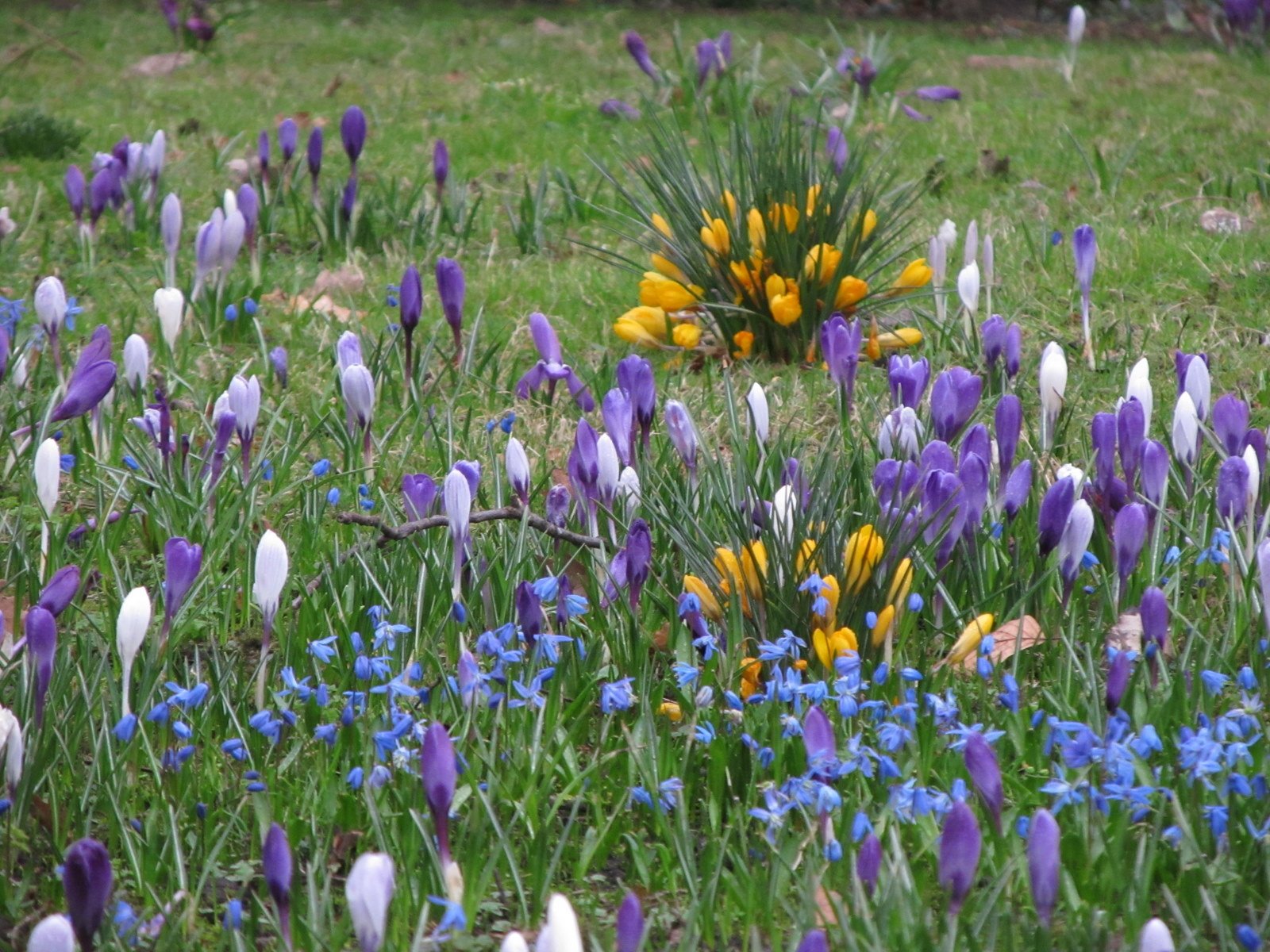 De wereld van Kina: de Tuin