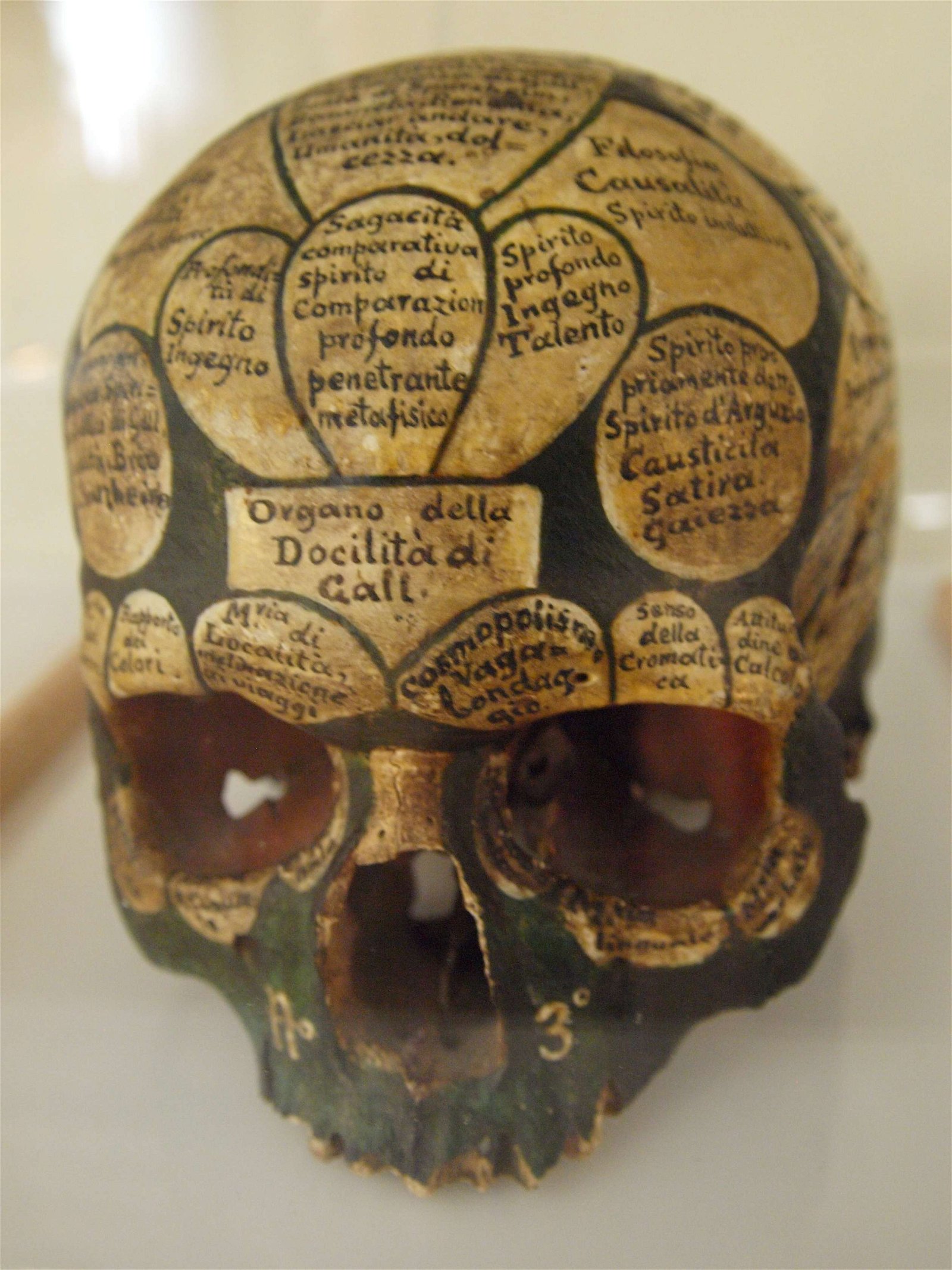 Museum am Rothenbaum – Kulturen und Künste der Welt