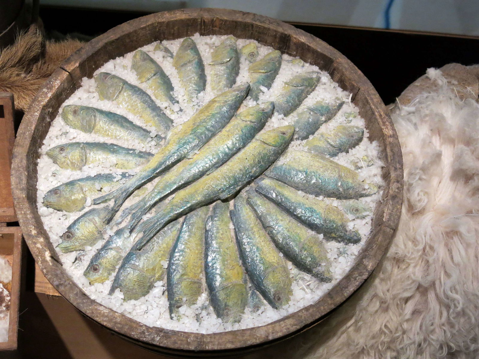 Museu d'Història de Catalunya