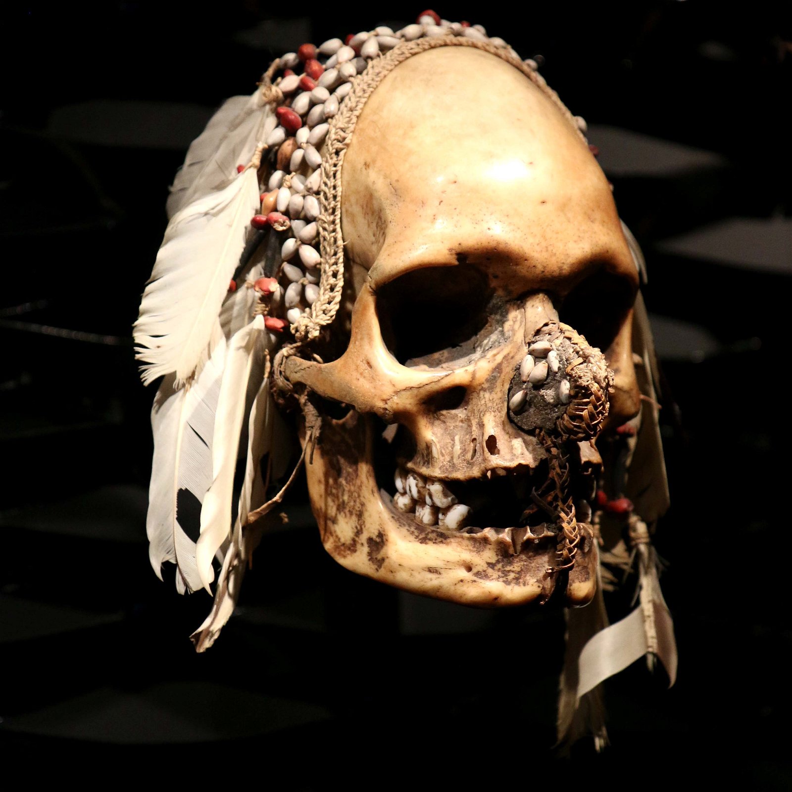 Musée des arts africains, océaniens et amérindiens