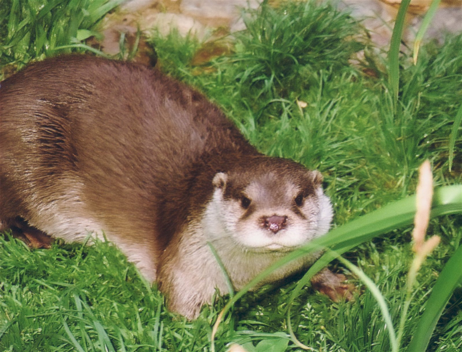 Parc zoologique de Paris