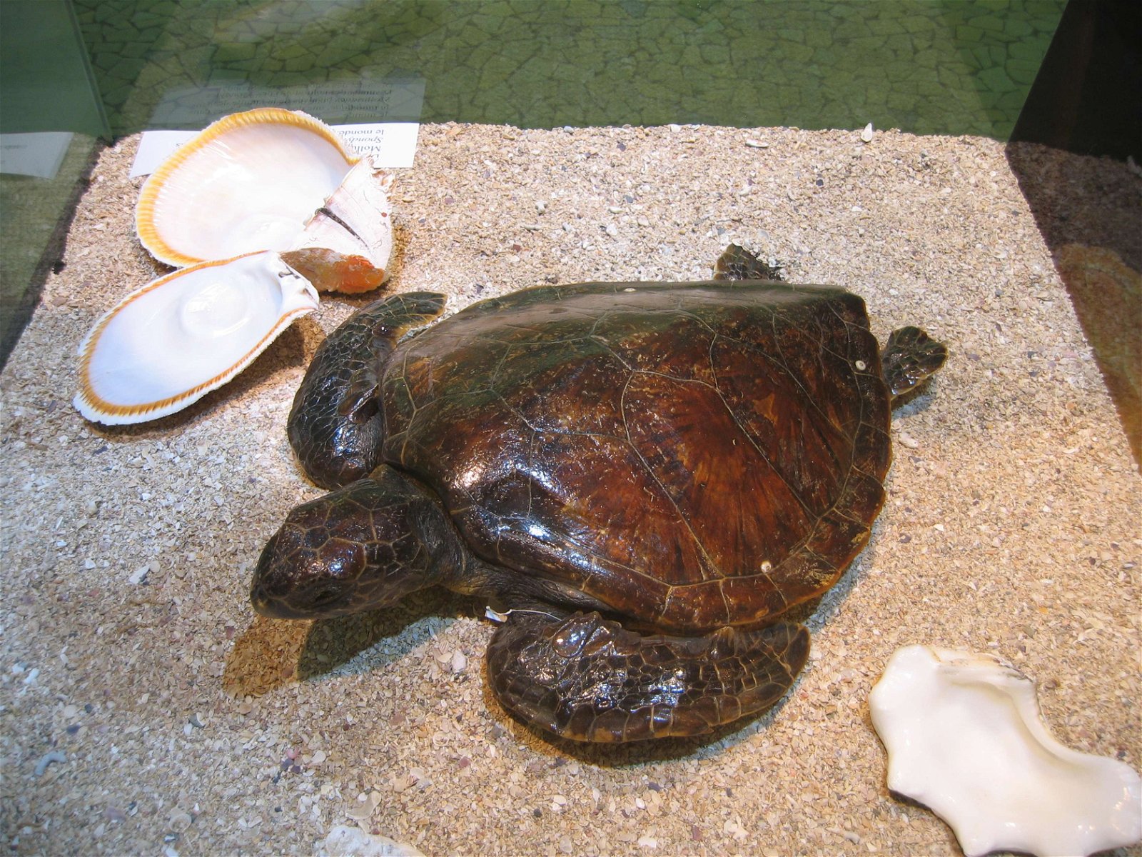 Aquarium de la Porte Dorée