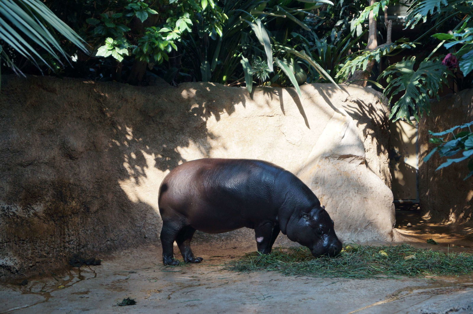 Zoologischer Garten Berlin