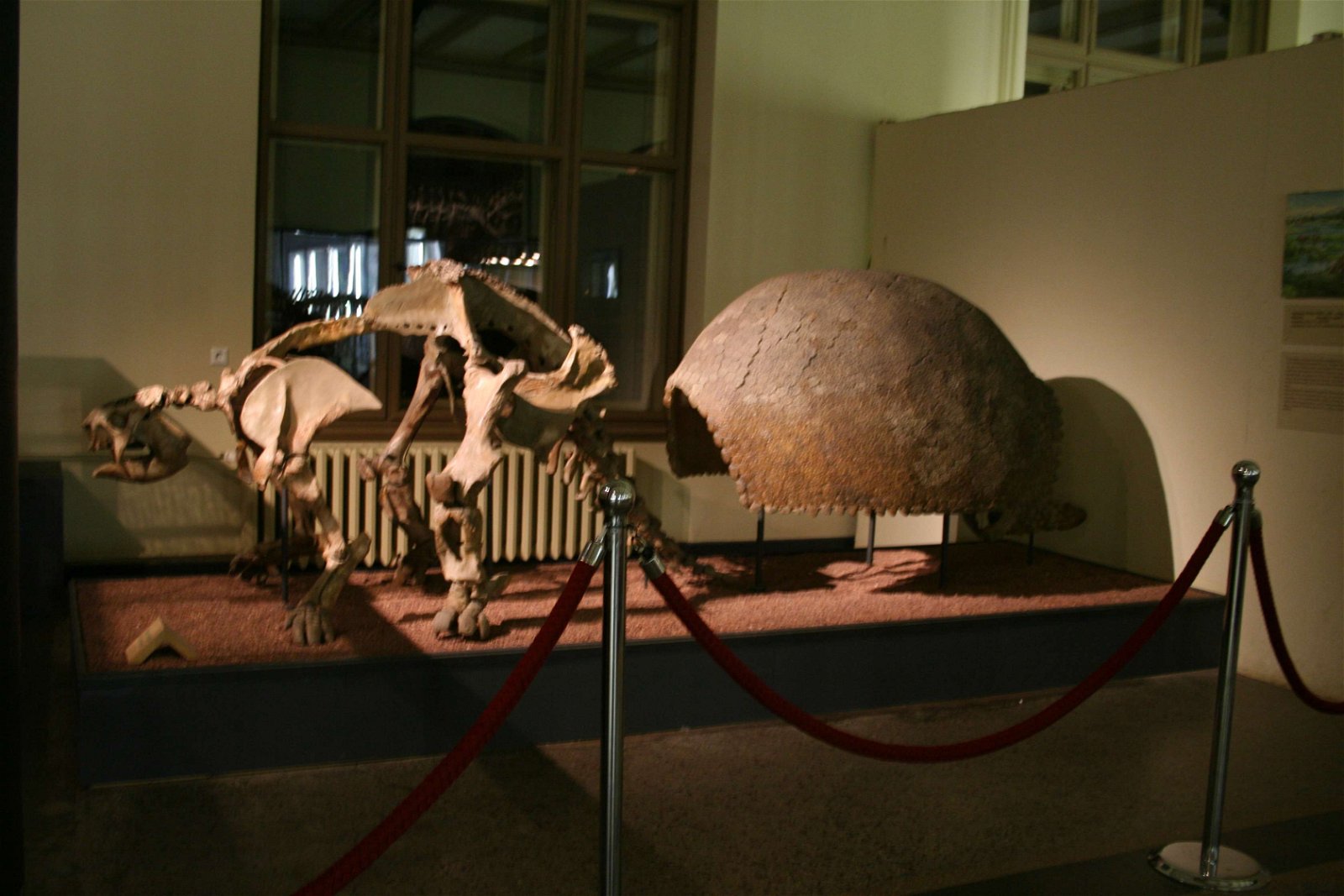 Natural History Museum Berlin