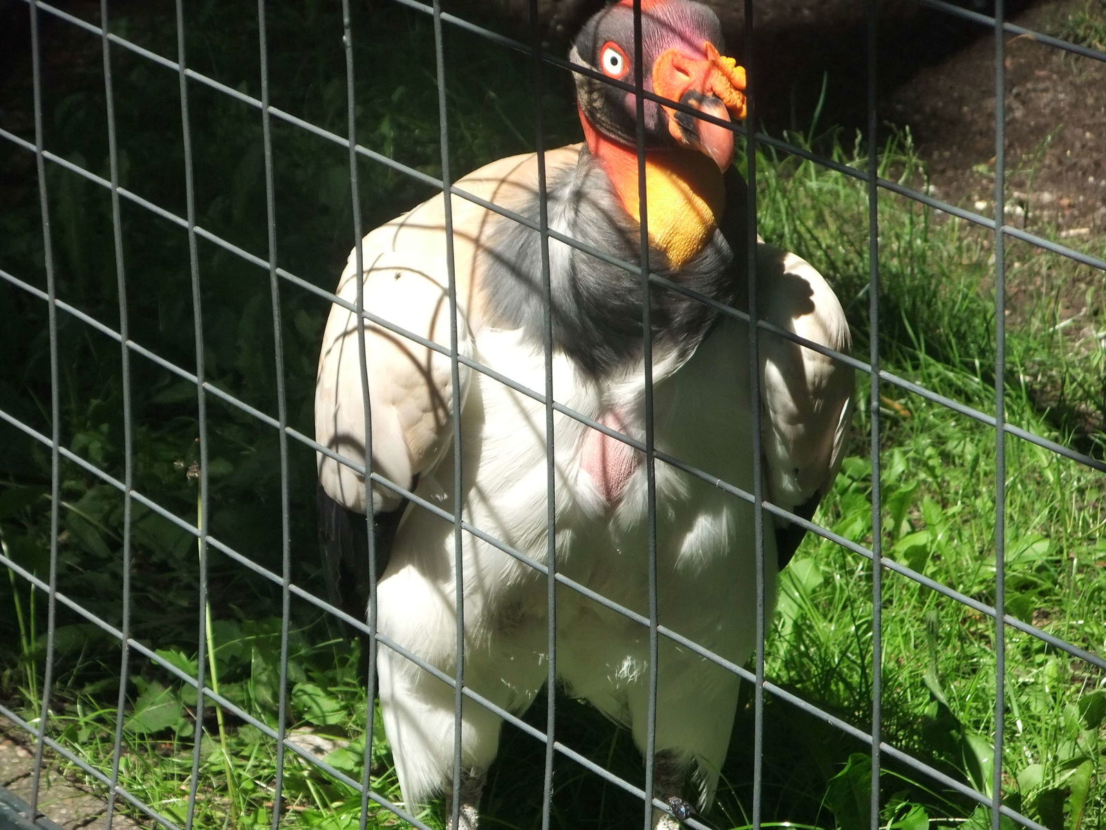 Zoologischer Garten Berlin