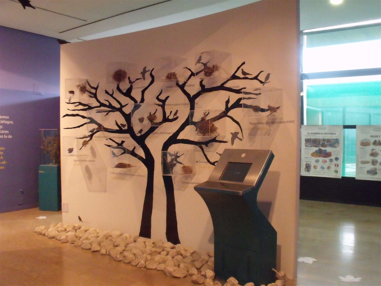 Museo de Ciencias Naturales