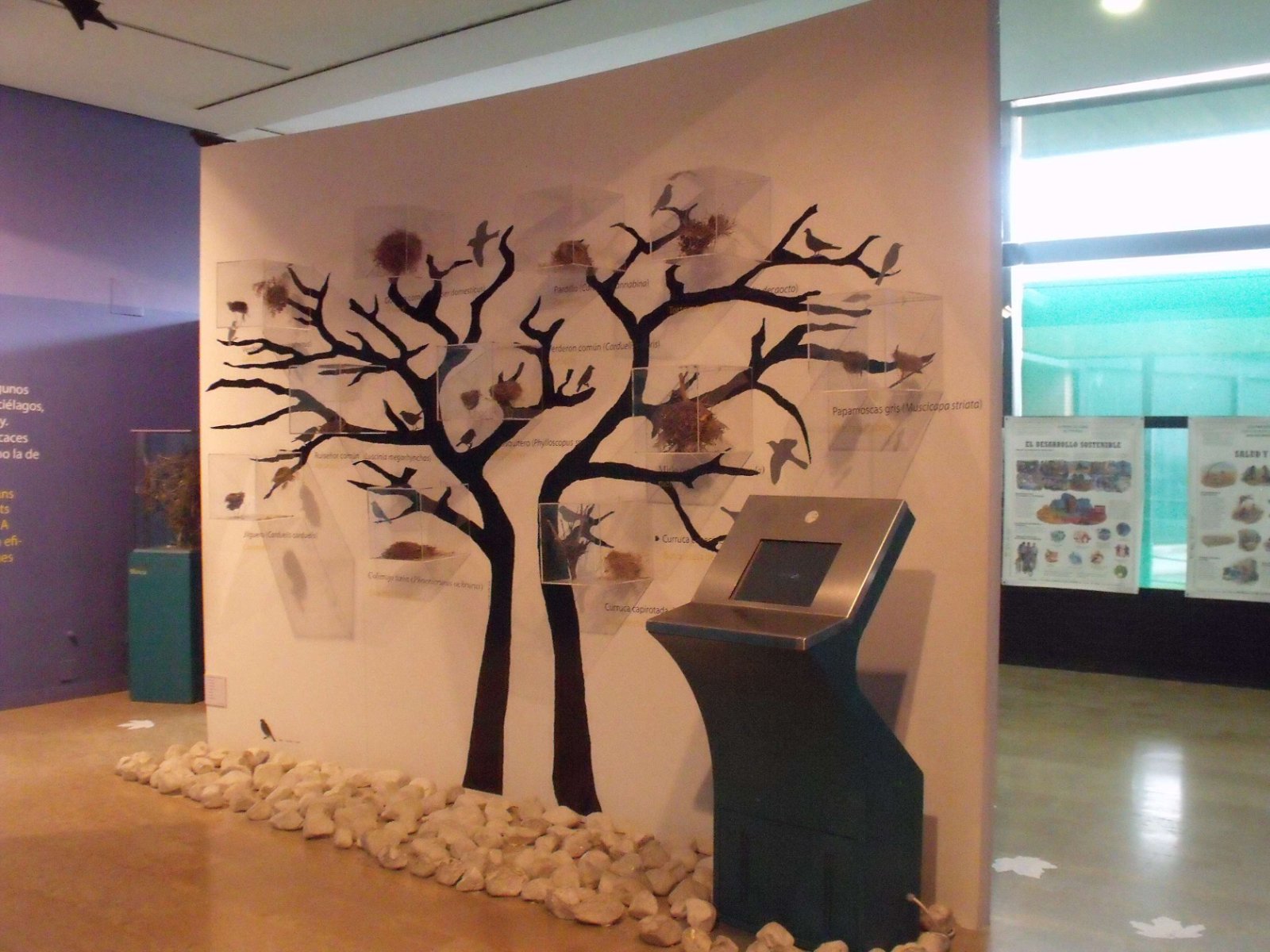 Museum of Natural Science