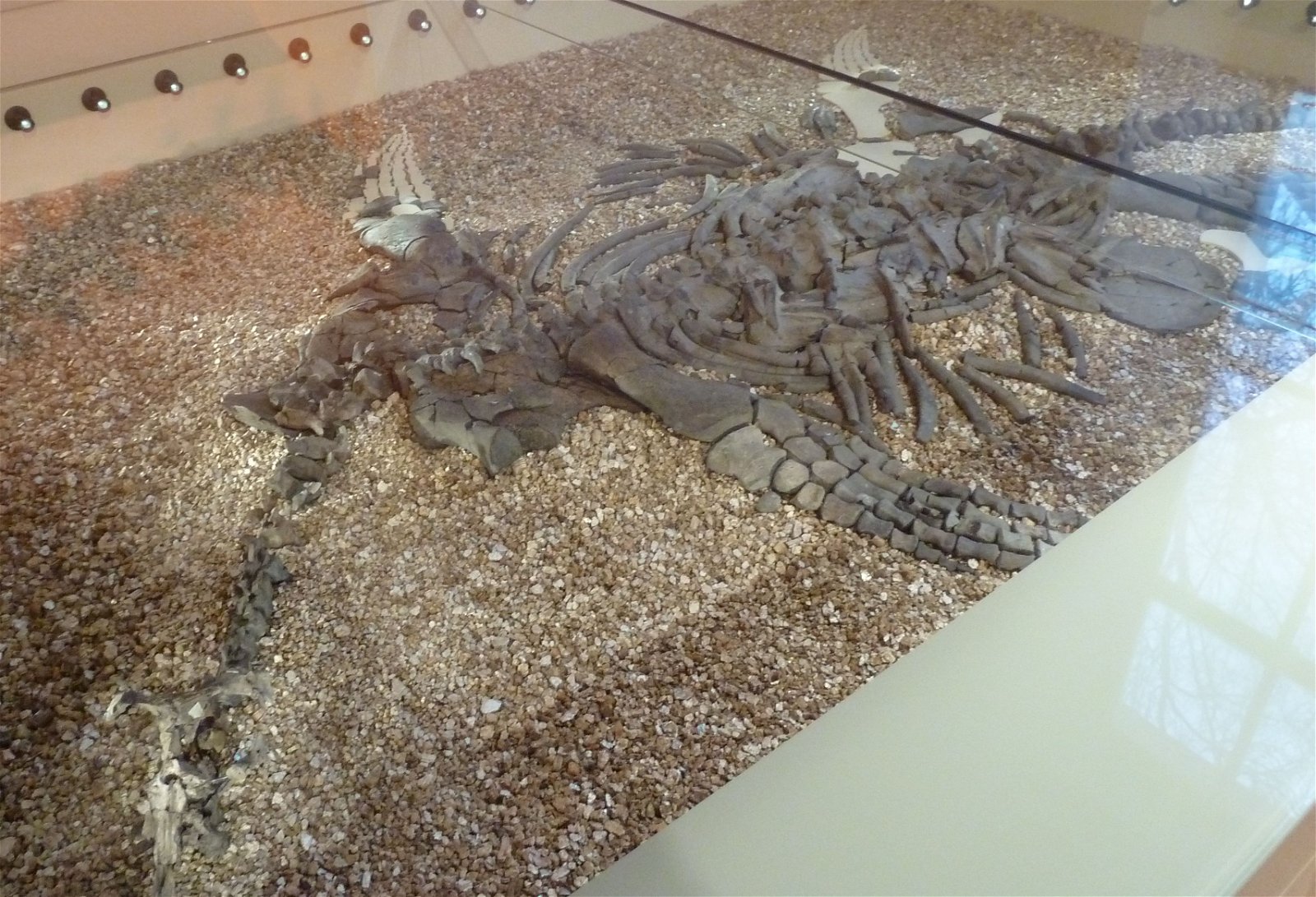 New Walk Museum and Art Gallery