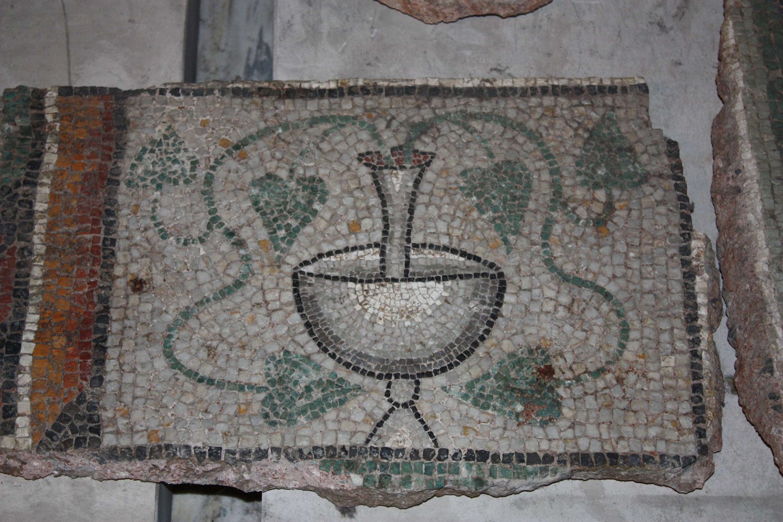 National History Museum