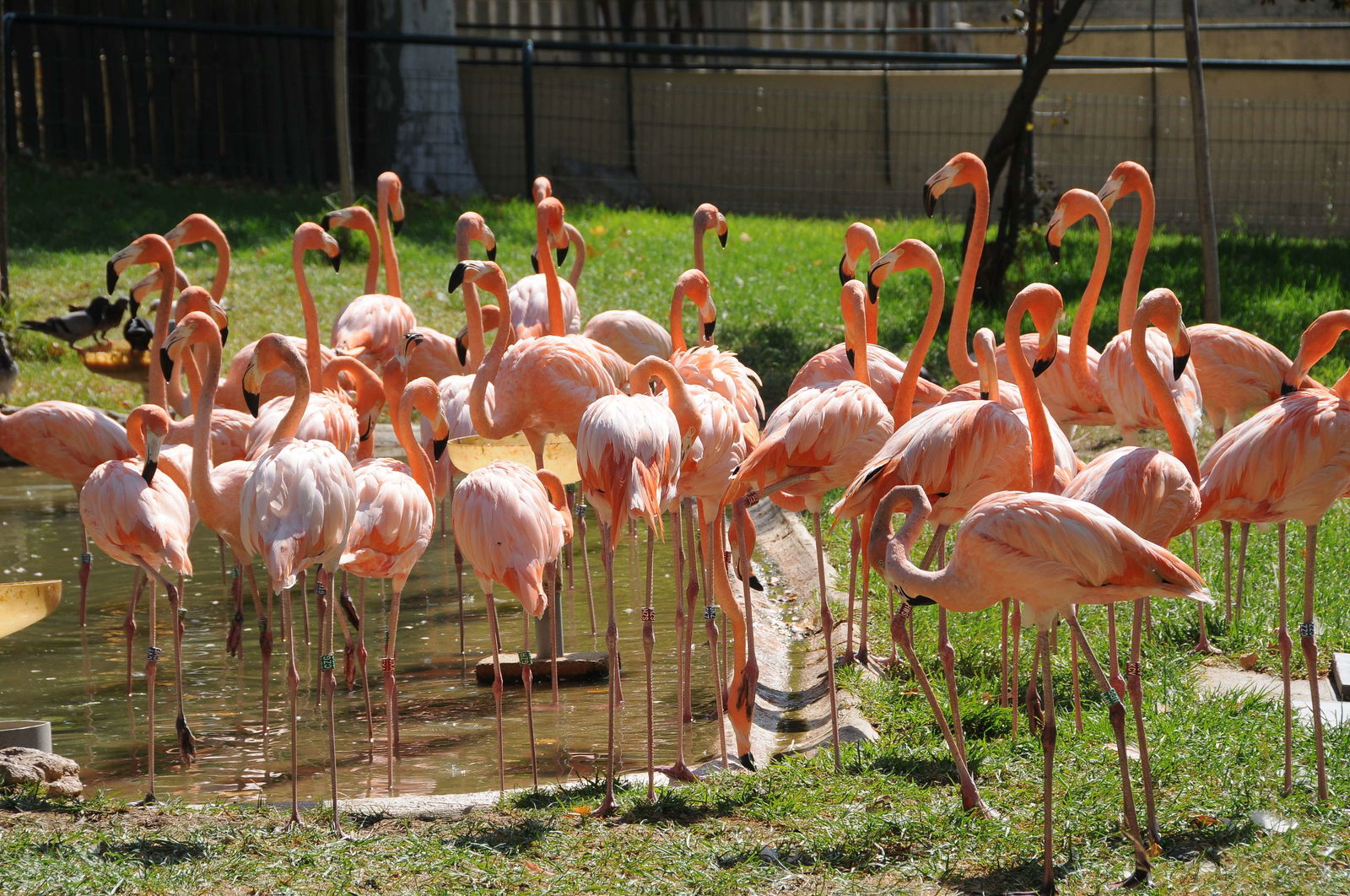 Lisbon Zoo
