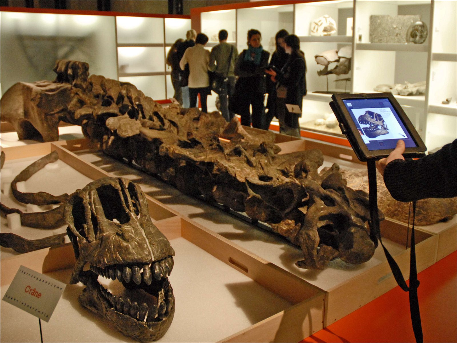 Musée des Confluences