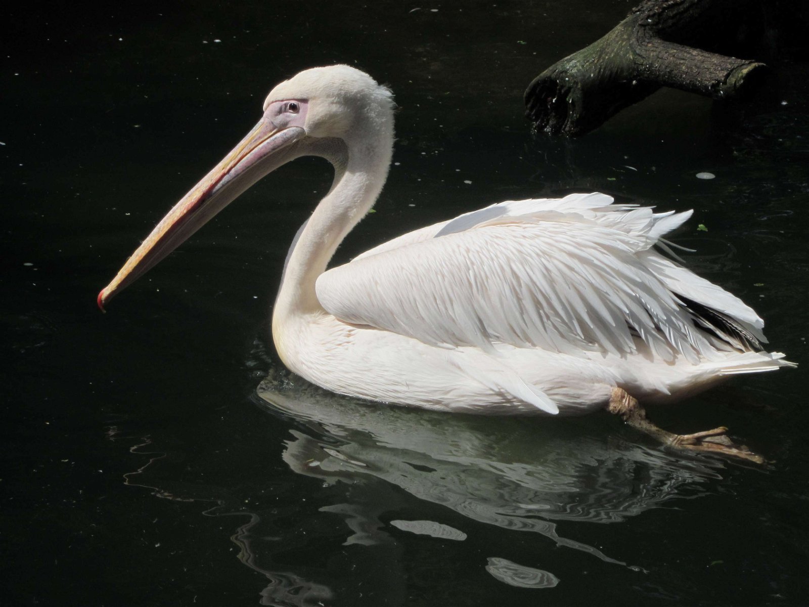Erlebnis Zoo Hannover