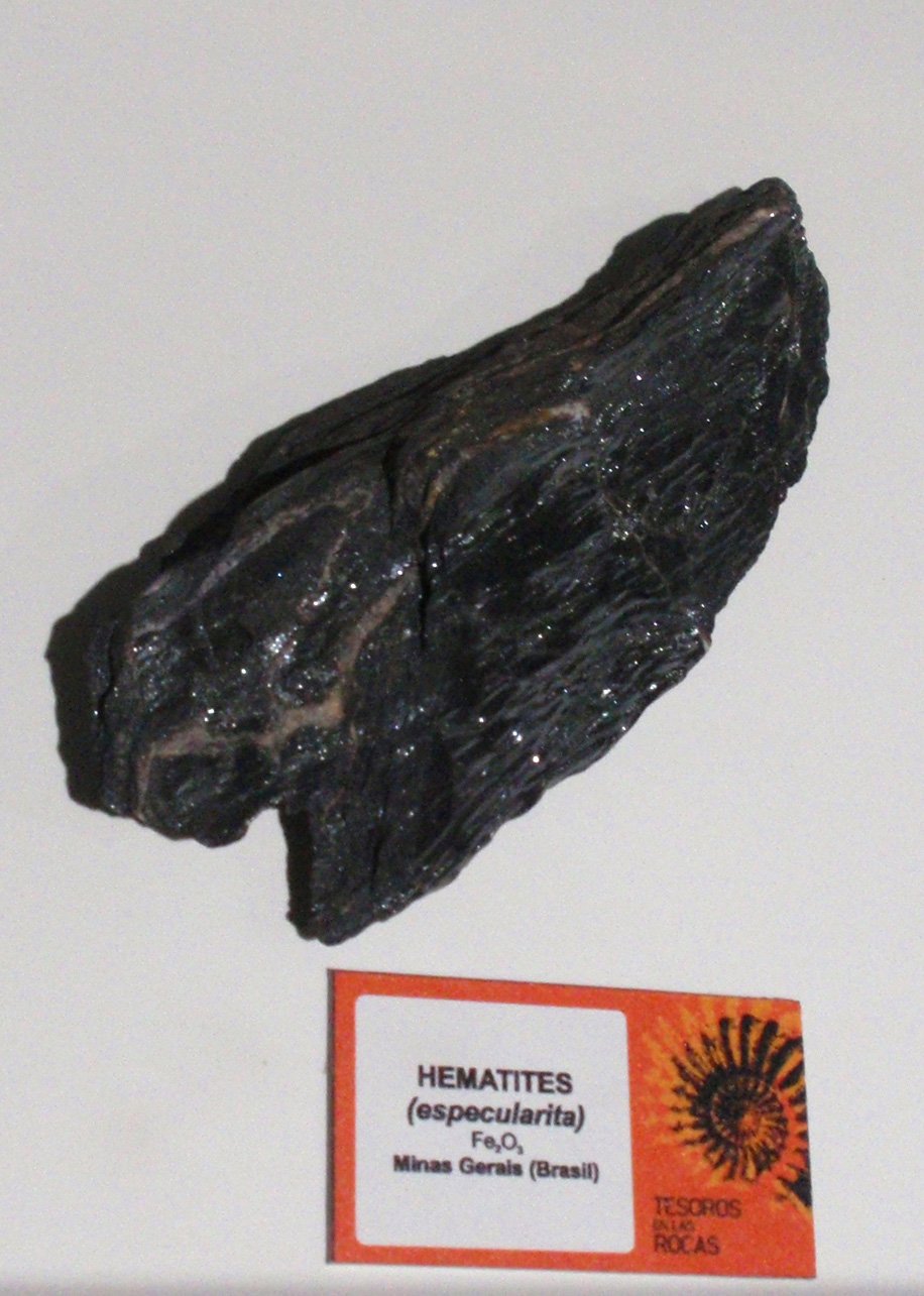 Museo Elder de la Ciencia y la Tecnología