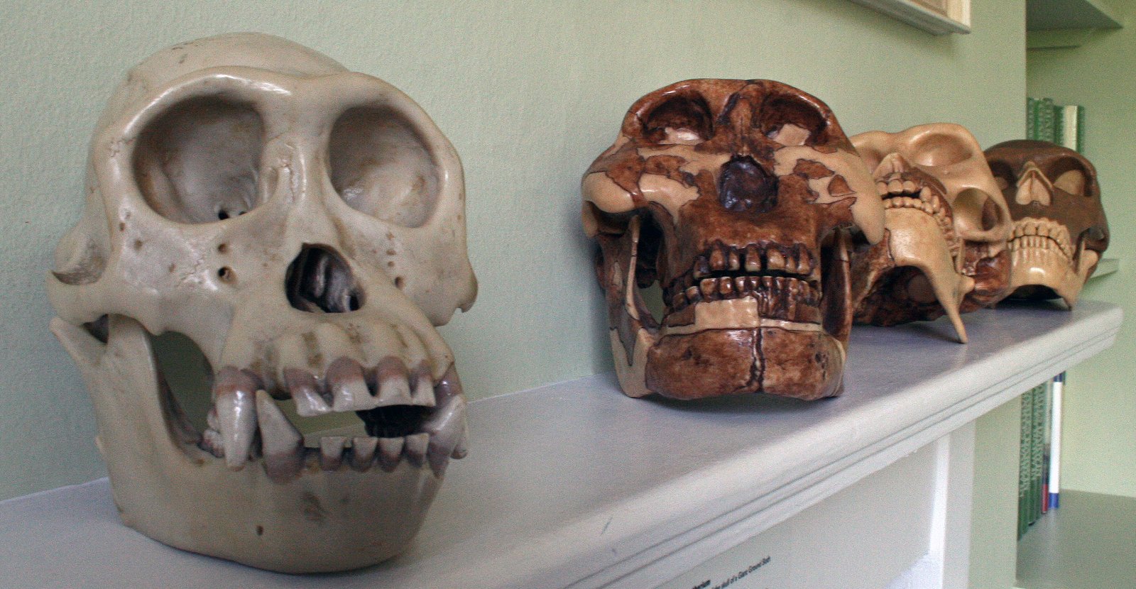 Down House - Home of Charles Darwin