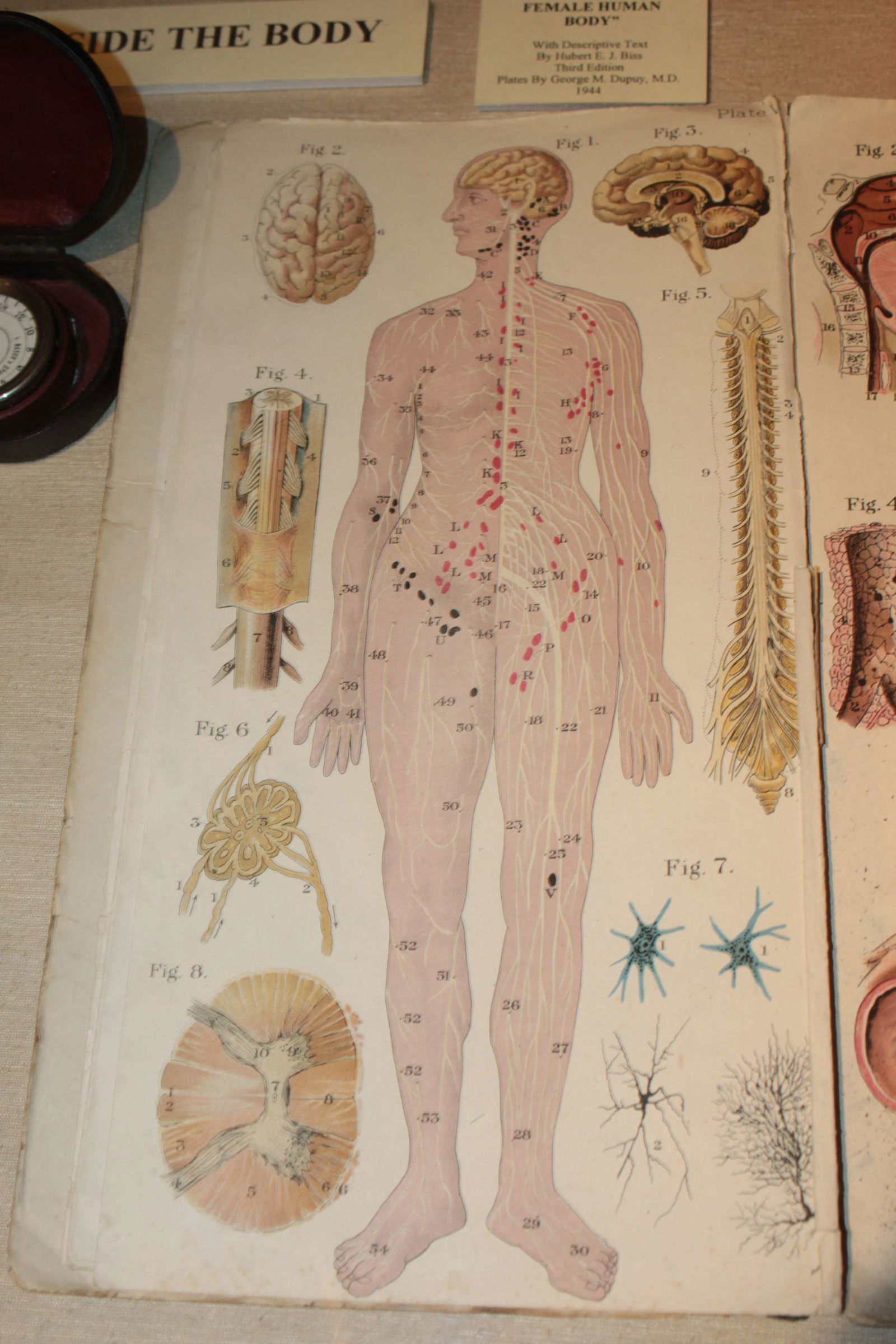 Old Operating Theatre Museum