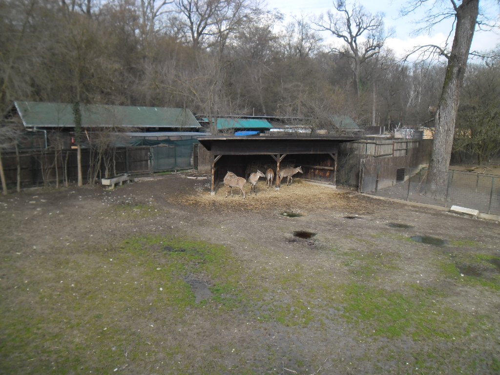 Zagreb Zoo