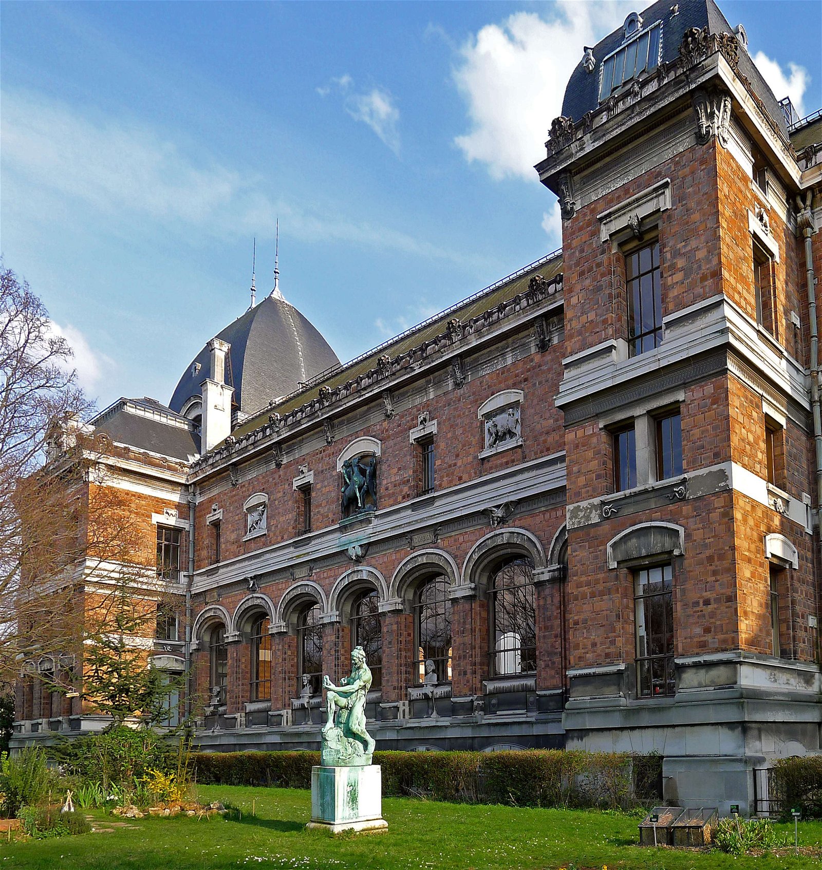 Gallery of Paleontology and Comparative Anatomy